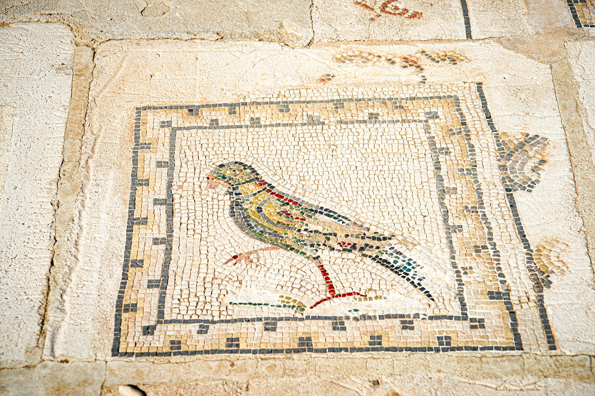 Roman amphitheatre of Italica