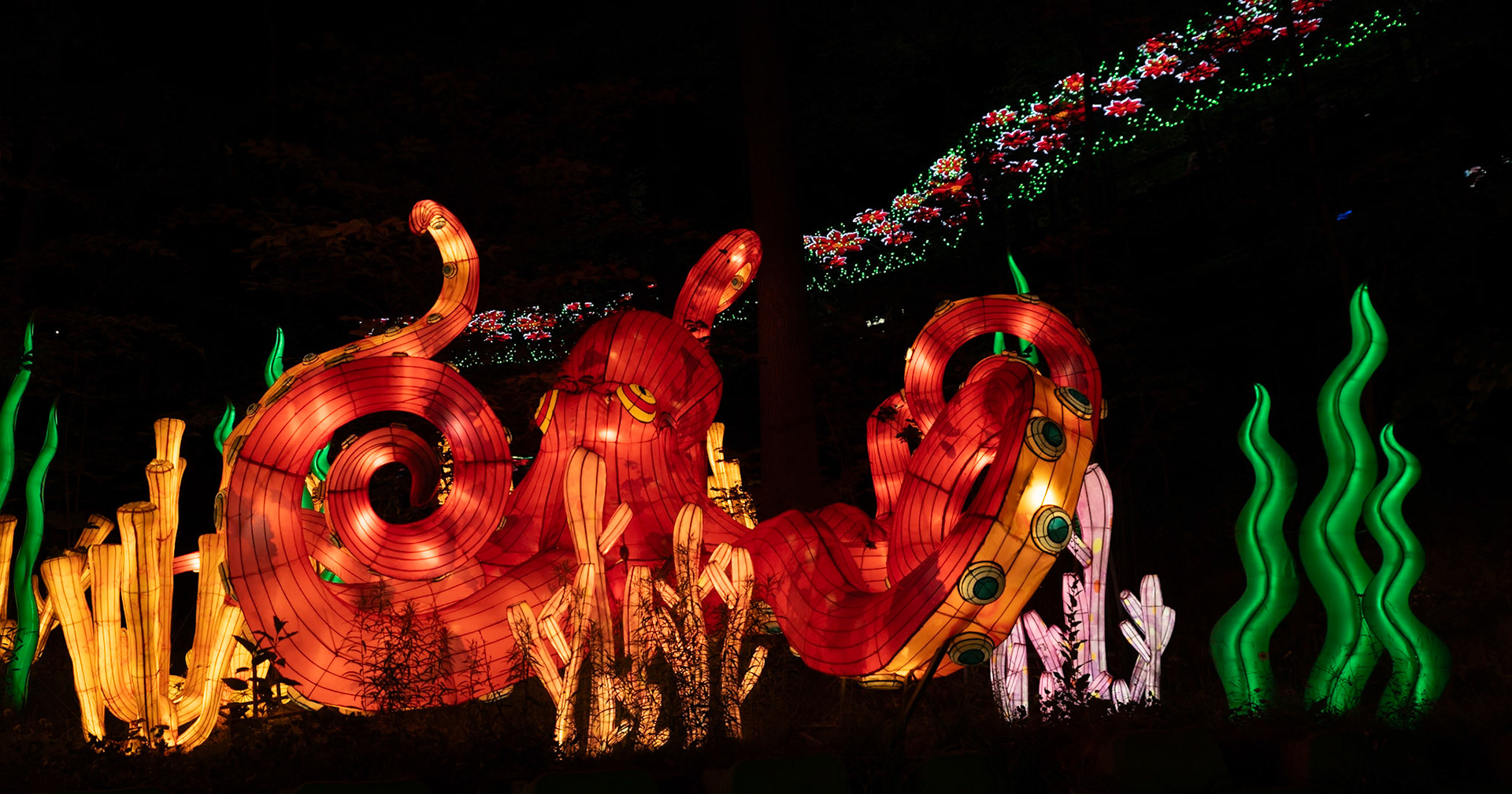 John Ball Zoo Lantern Festival 31