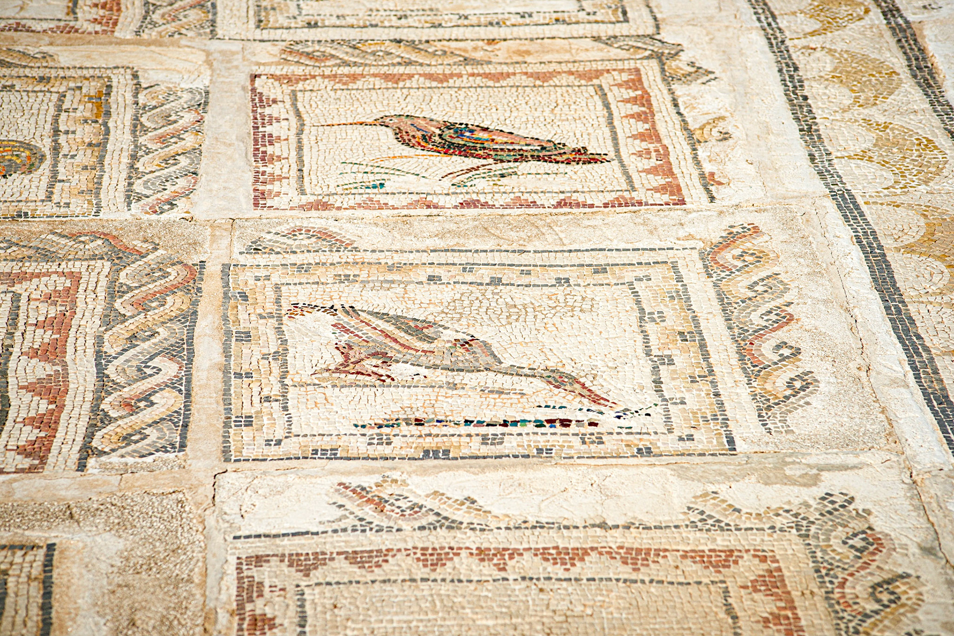 Roman amphitheatre of Italica