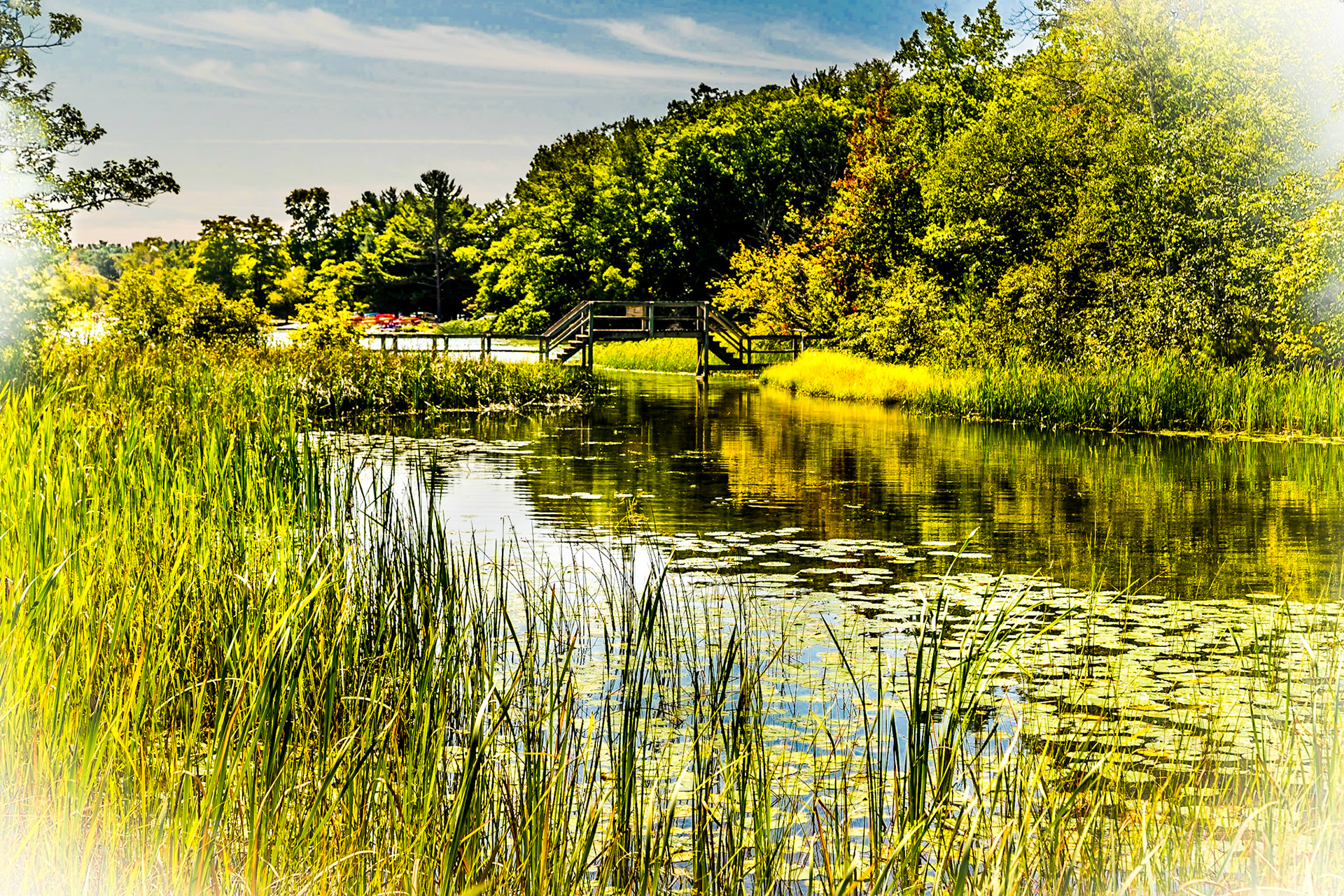 Ludington State Park MI 4