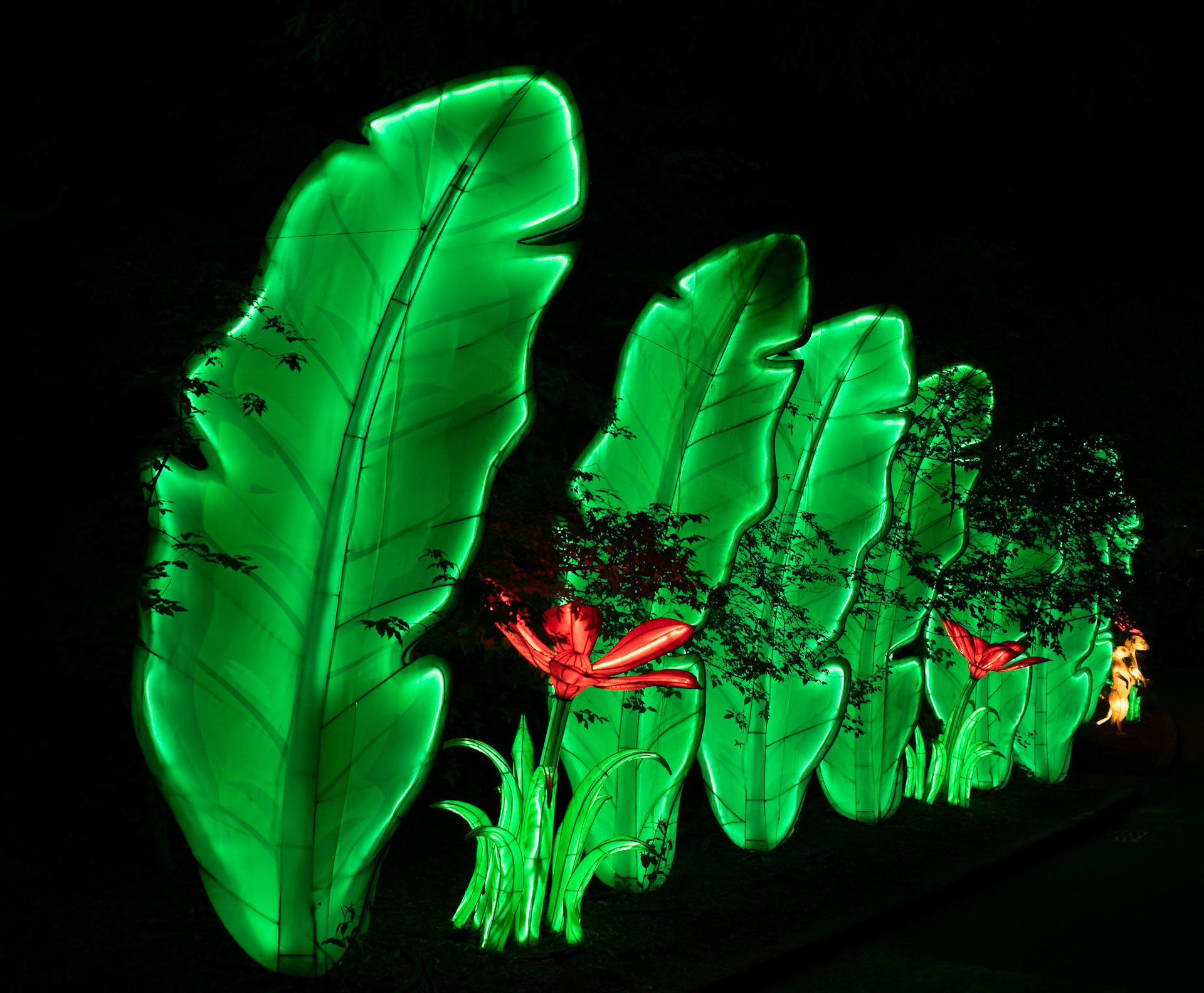 John Ball Zoo Lantern Festival 56