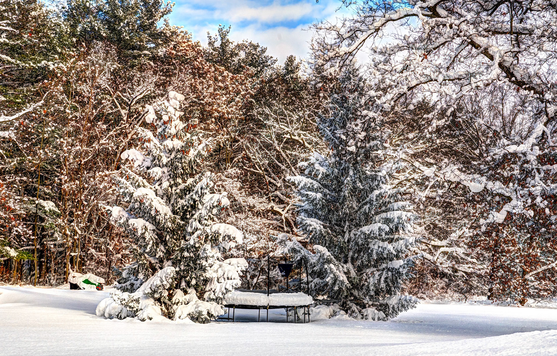 Trampoline Guardians