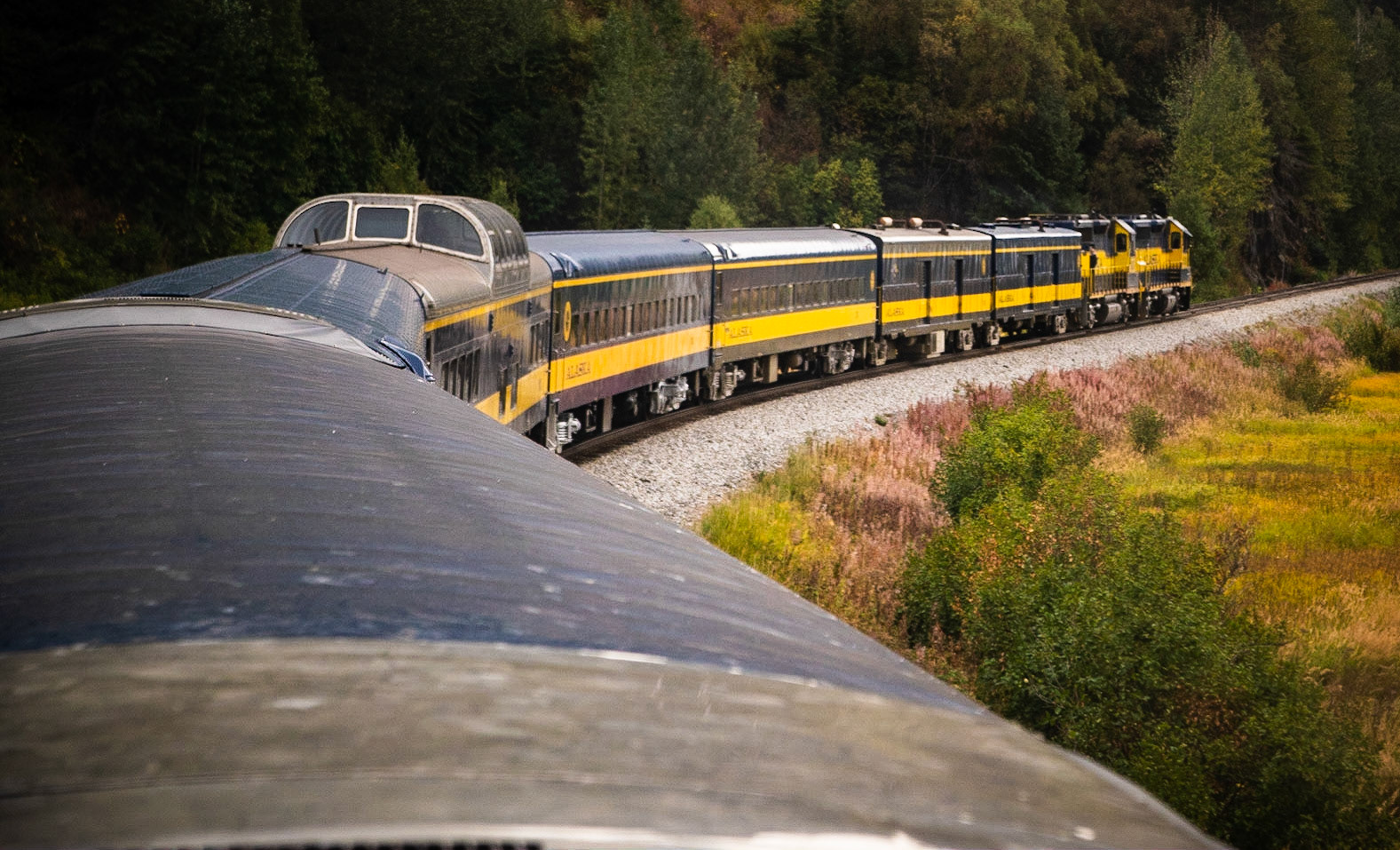Anchorage AK - Spencer Glacier Train-8