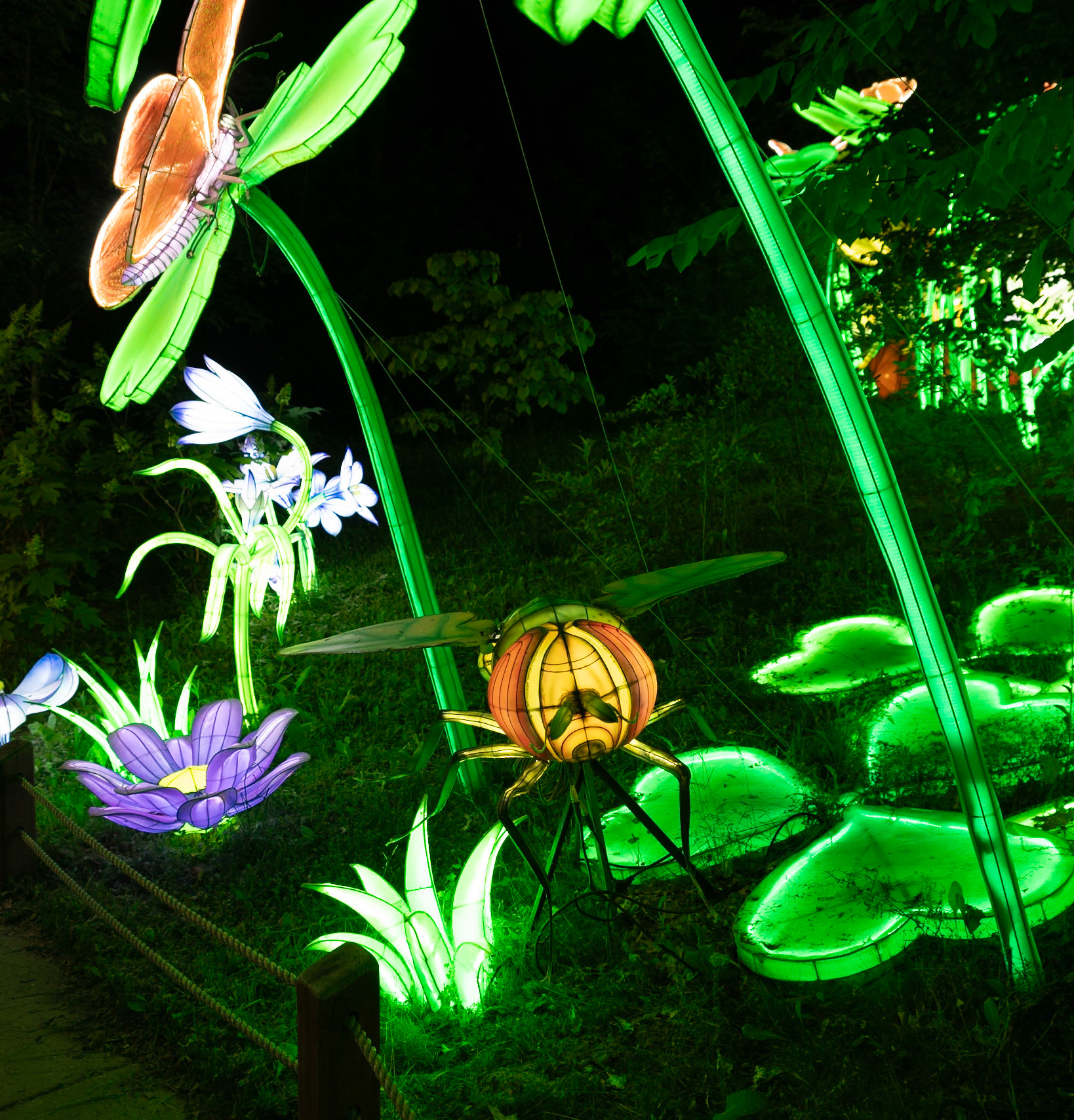 John Ball Zoo Lantern Festival 42