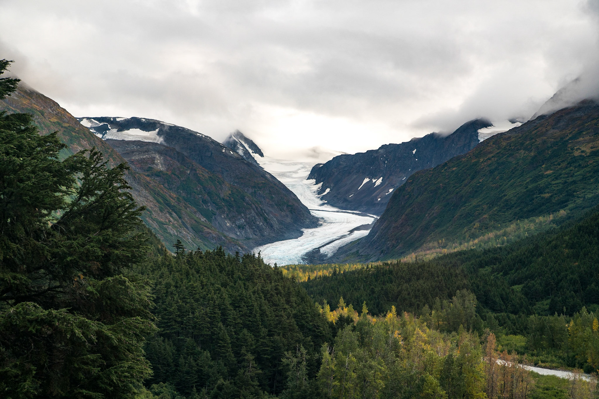 Anchorage - Seward AK - Train-40