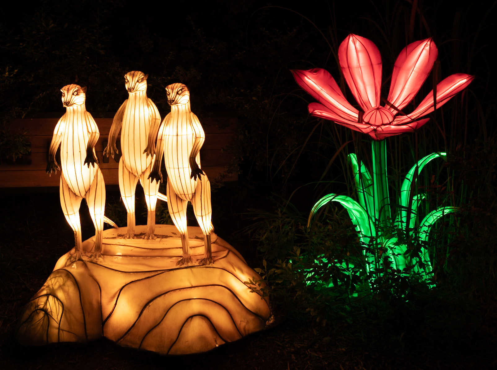 John Ball Zoo Lantern Festival 57