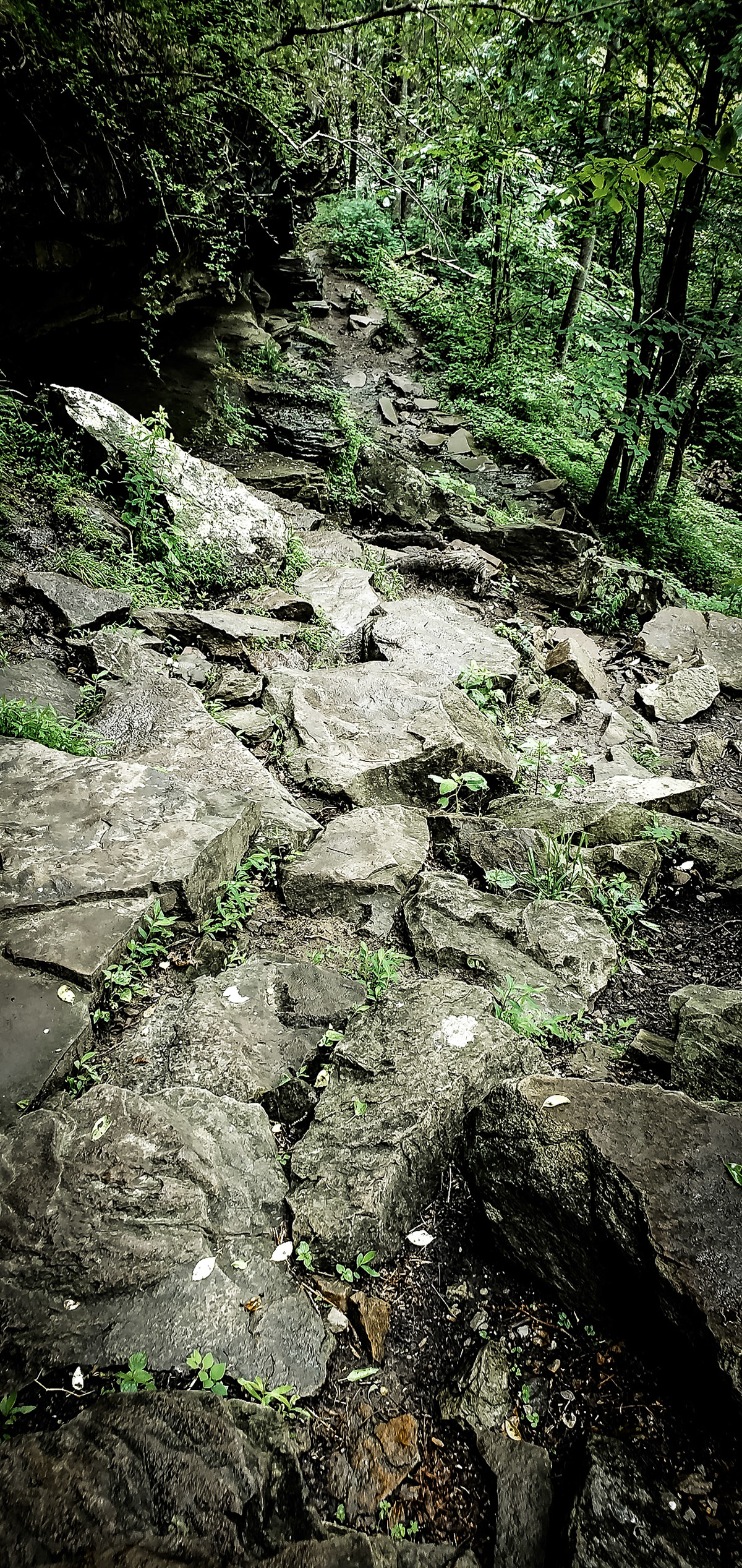 Climb down to Ozone Falls lower veiw