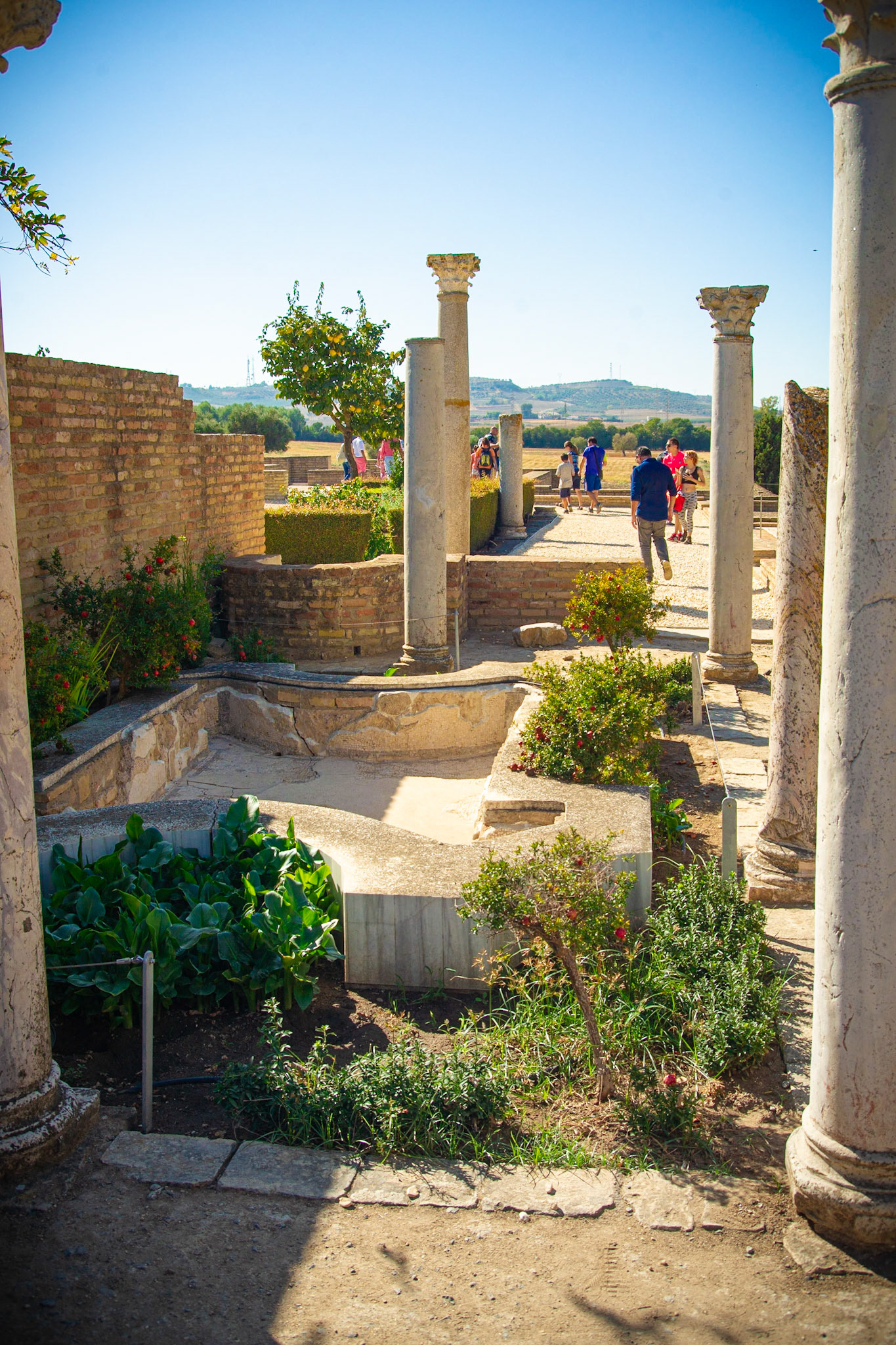 Roman amphitheatre of Italica