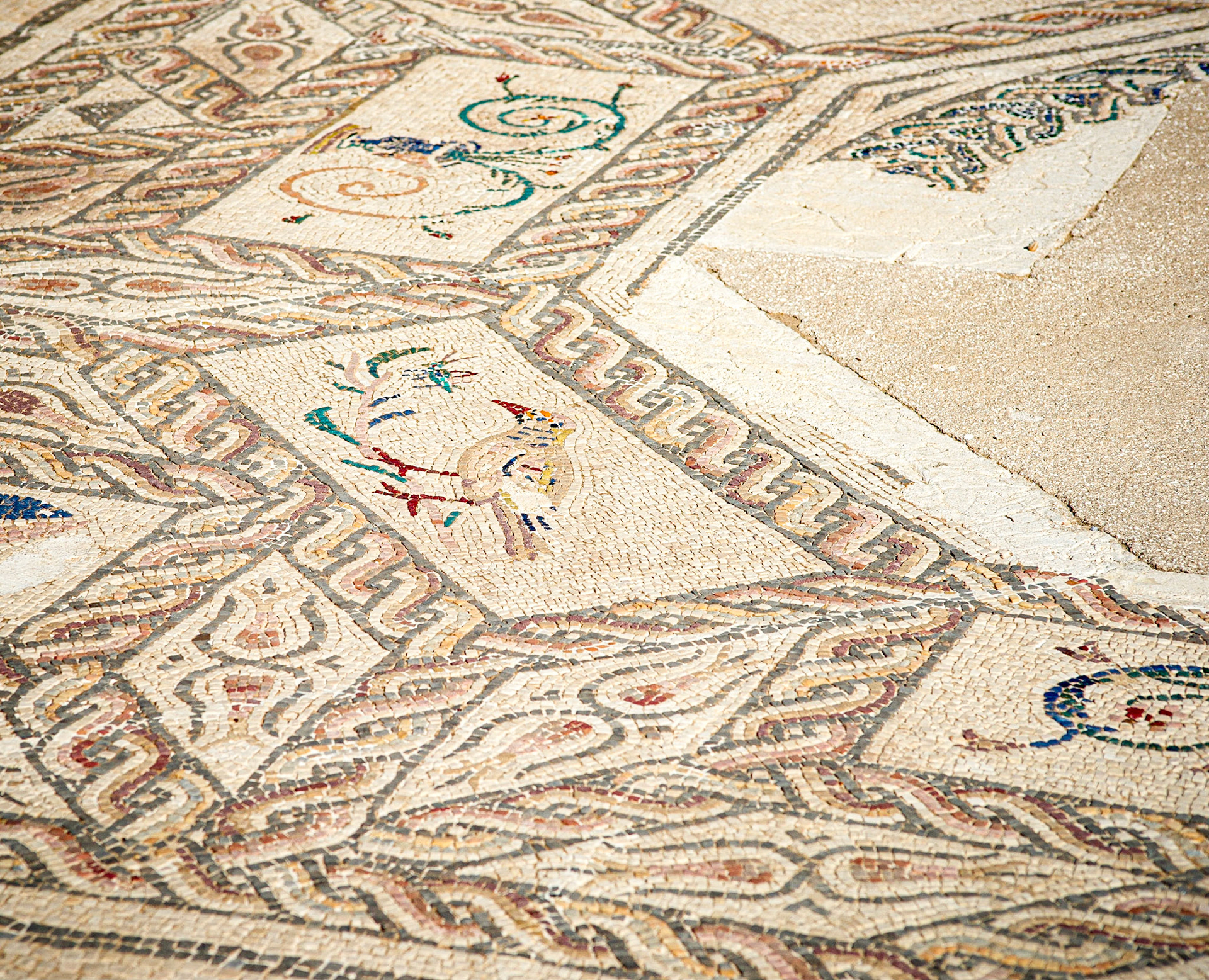 Roman amphitheatre of Italica