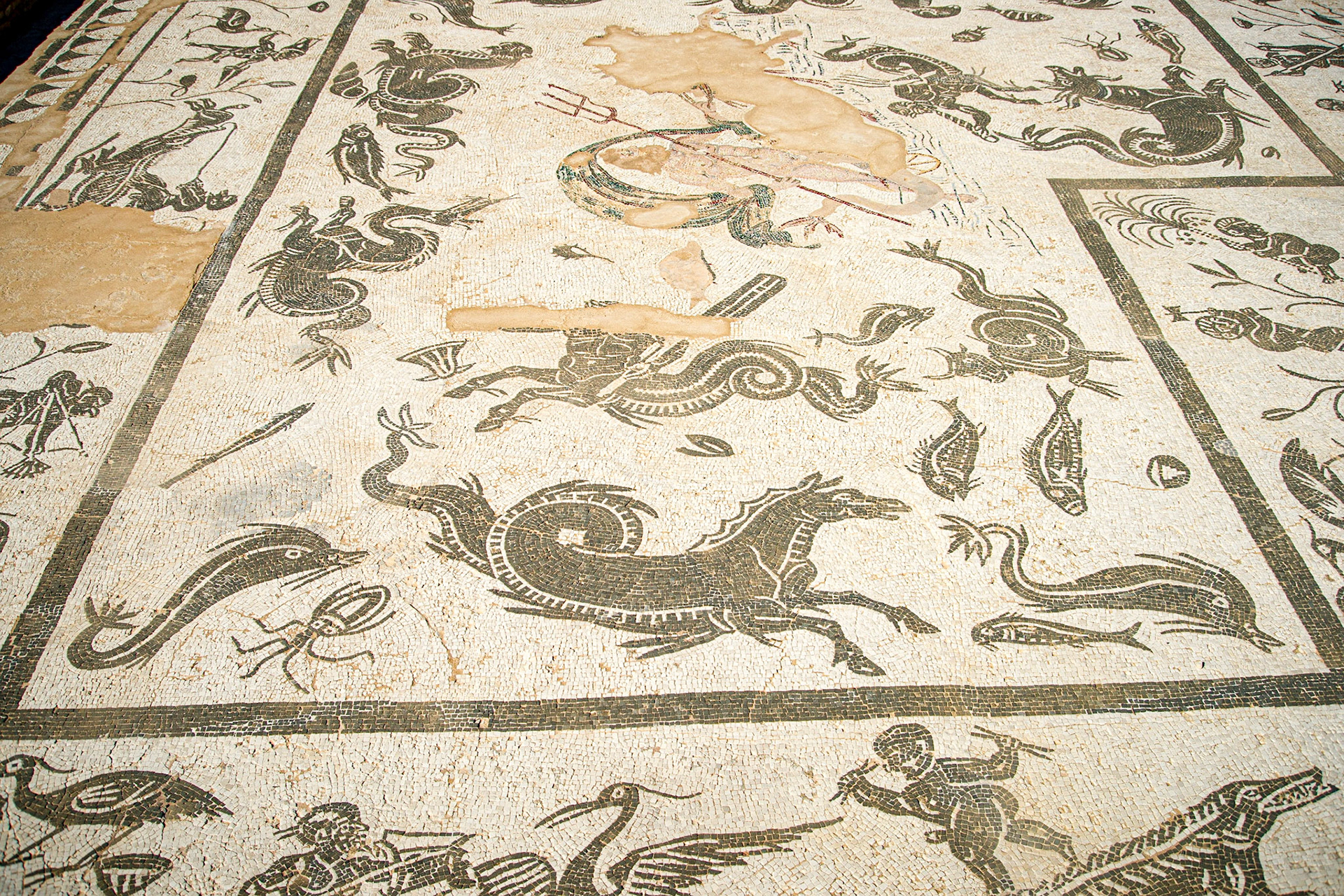 Roman amphitheatre of Italica