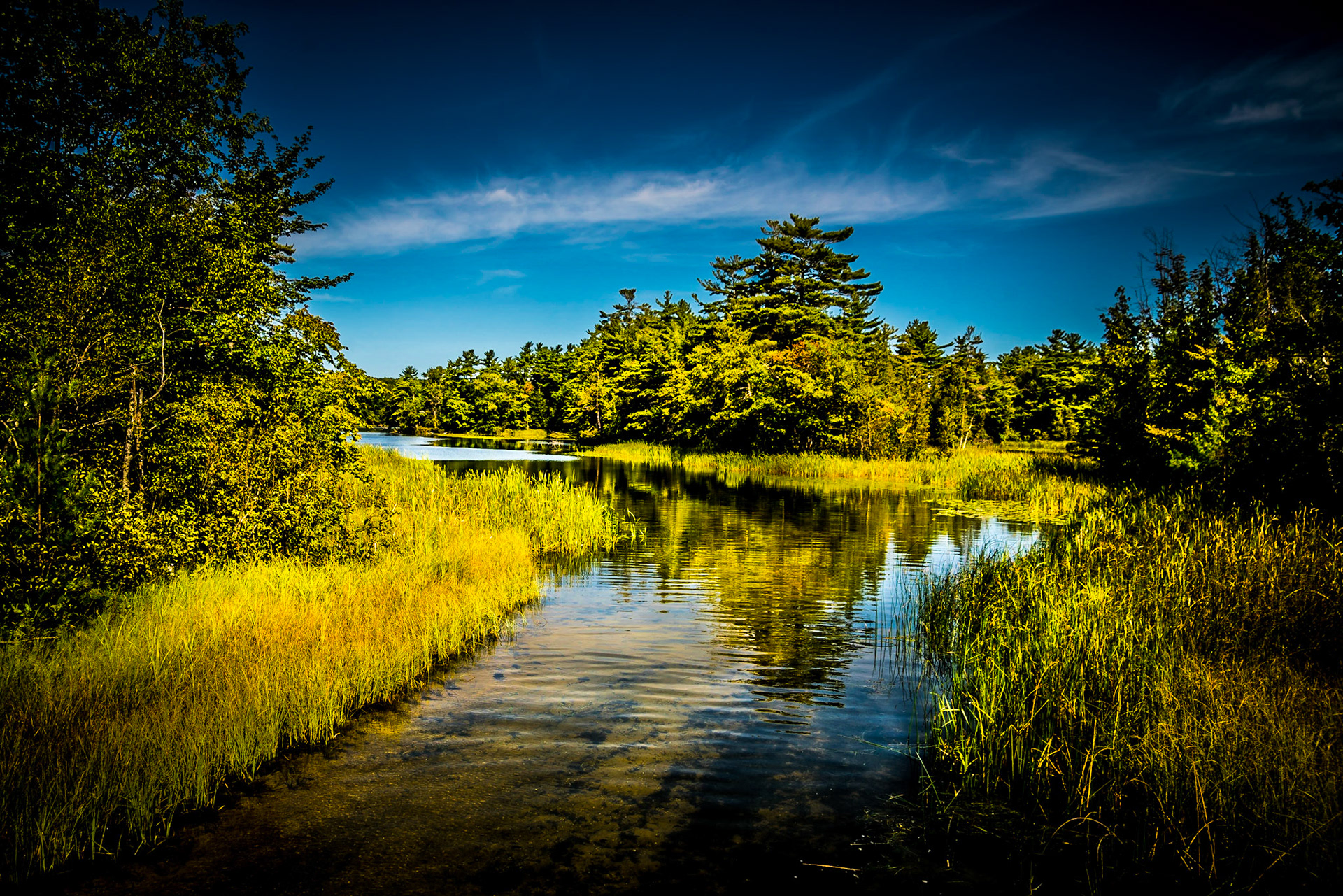 Ludington State Park MI 3