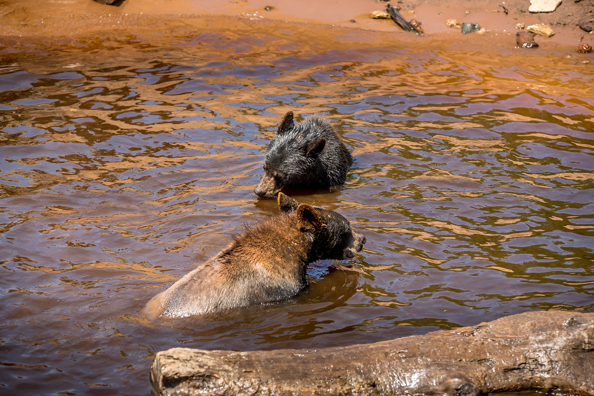 Cooling off
