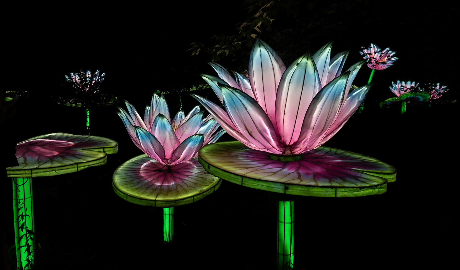 John Ball Zoo Lantern Festival 14