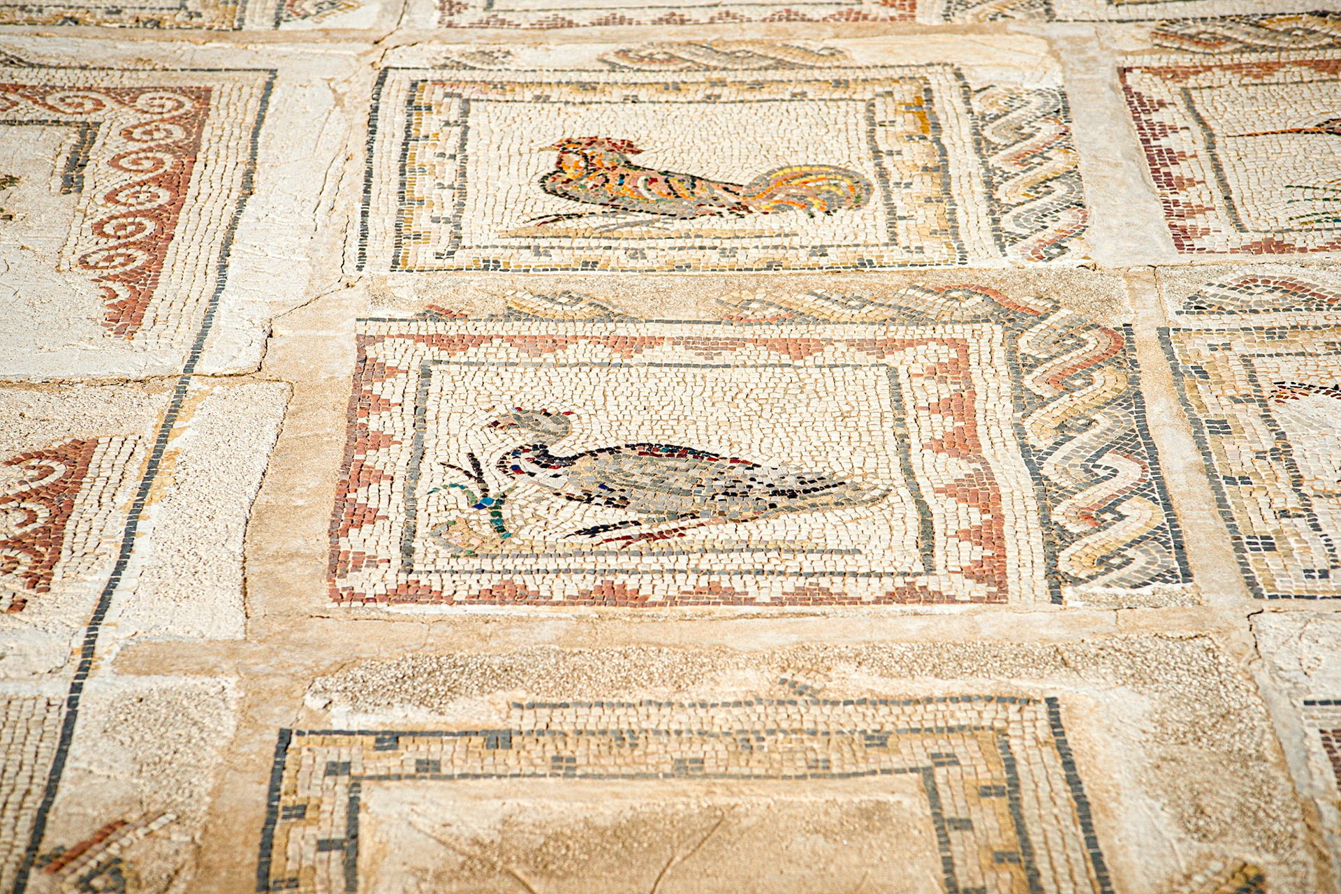 Roman amphitheatre of Italica