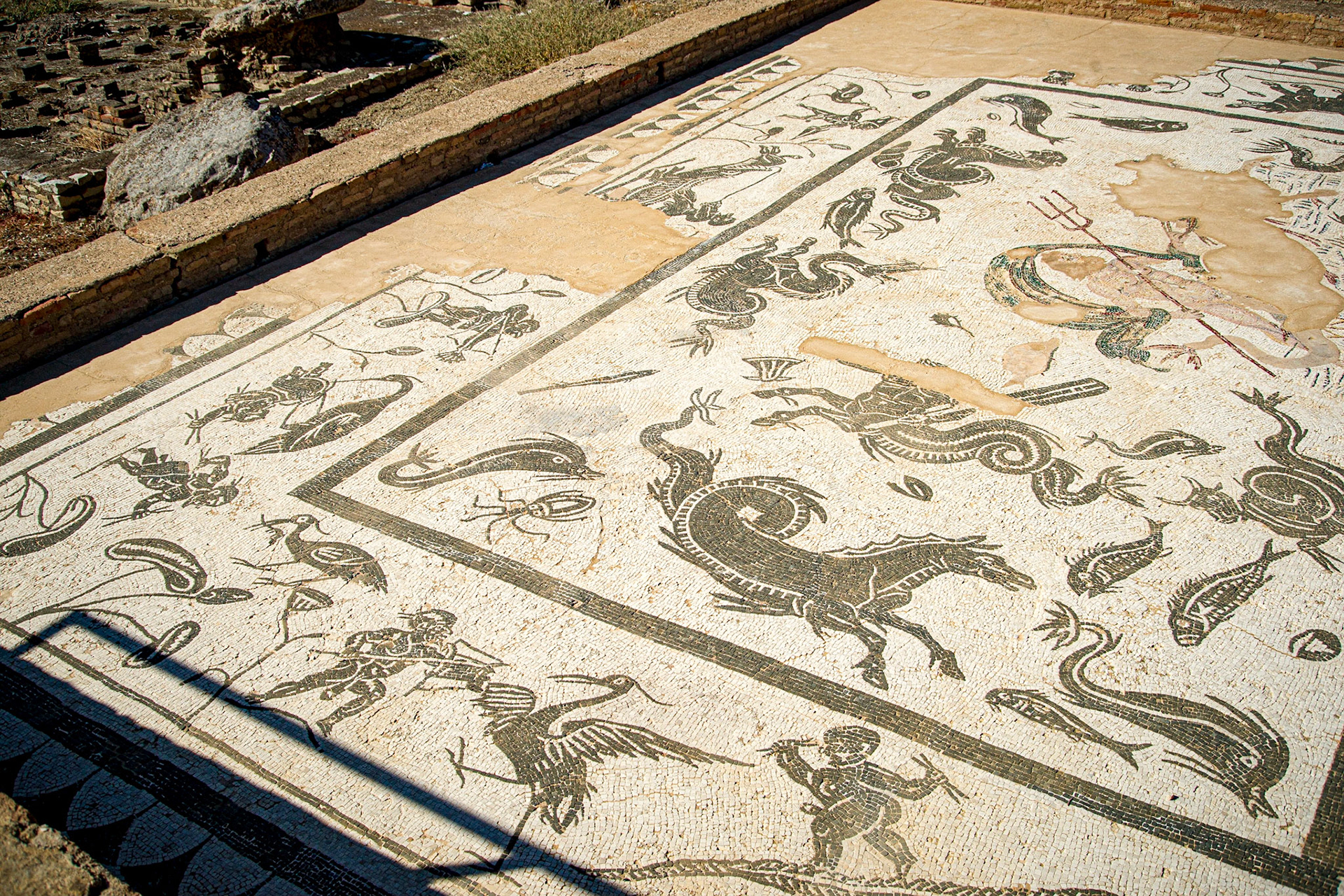 Roman amphitheatre of Italica