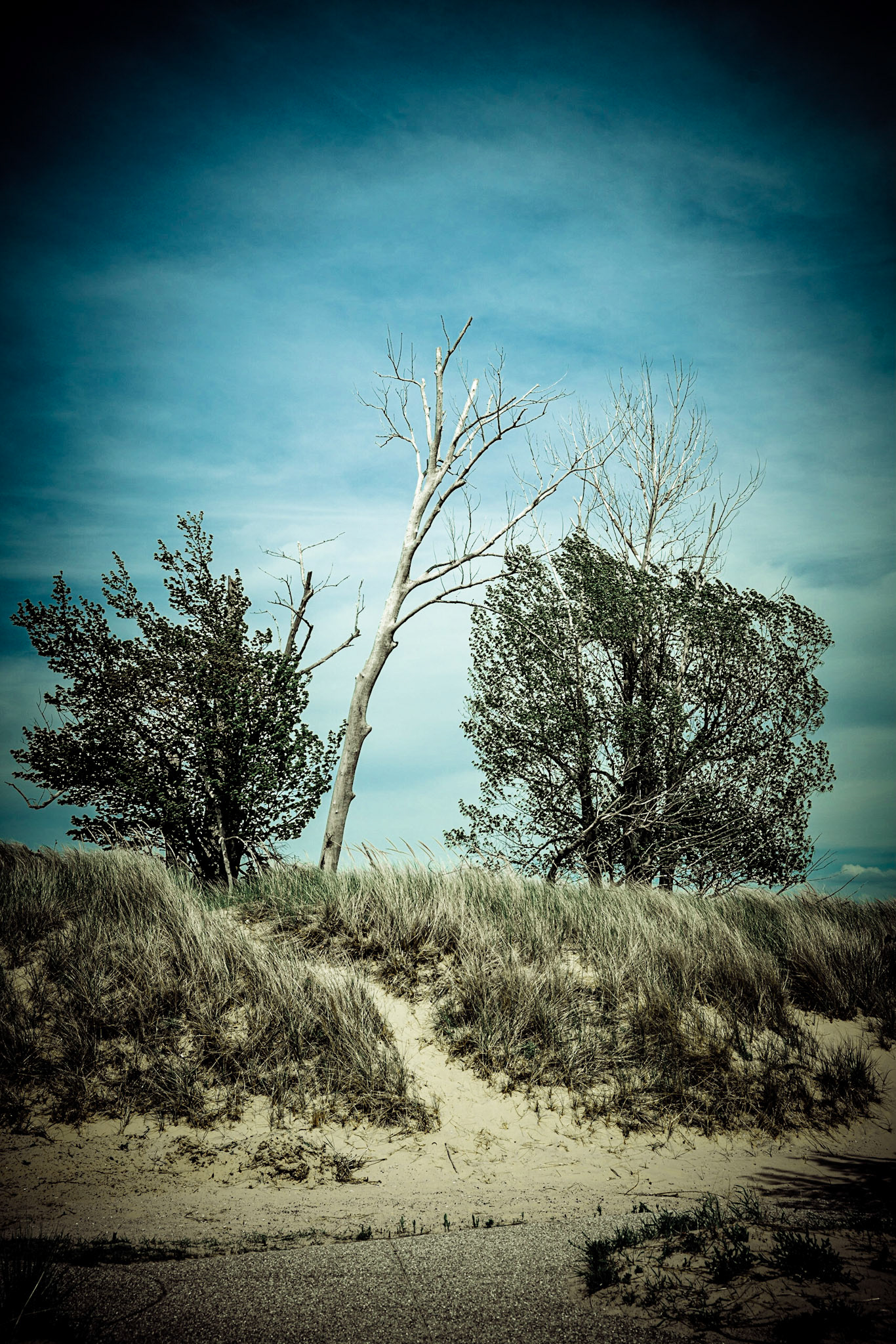 Big Sable Point Lighthouse Ludington State Park MI