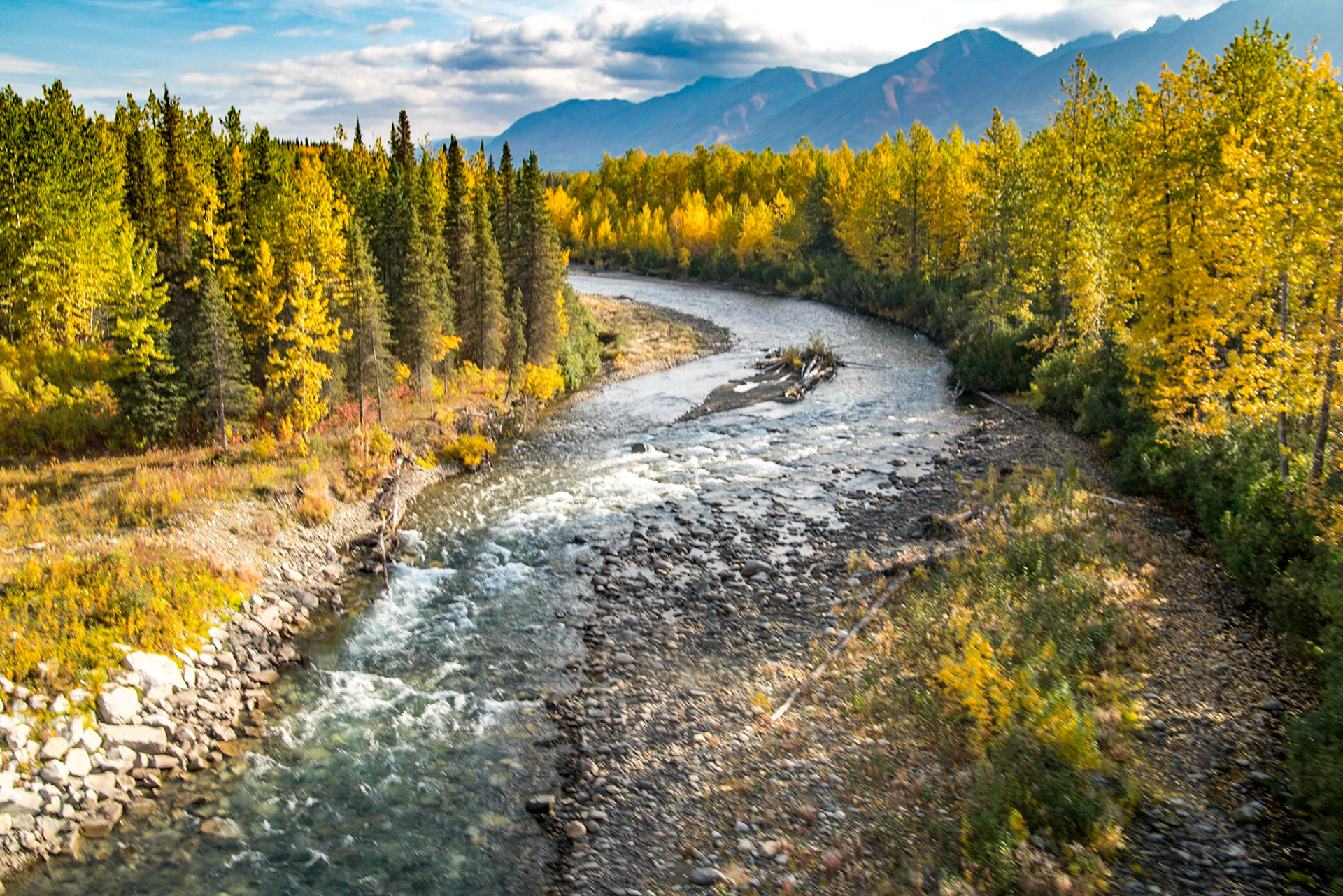 Denali - Anchorage AK-7