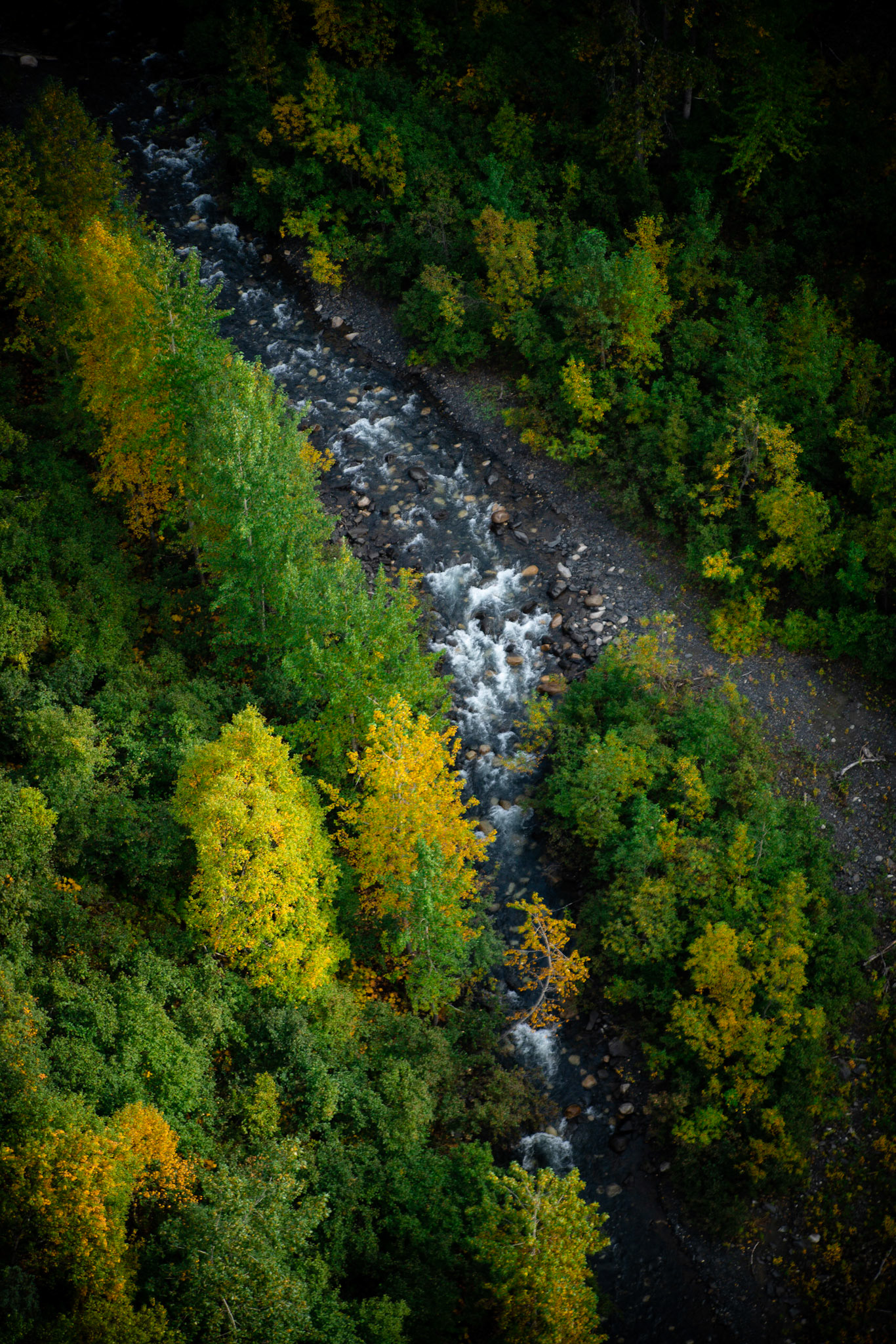 Denali - Anchorage AK-24