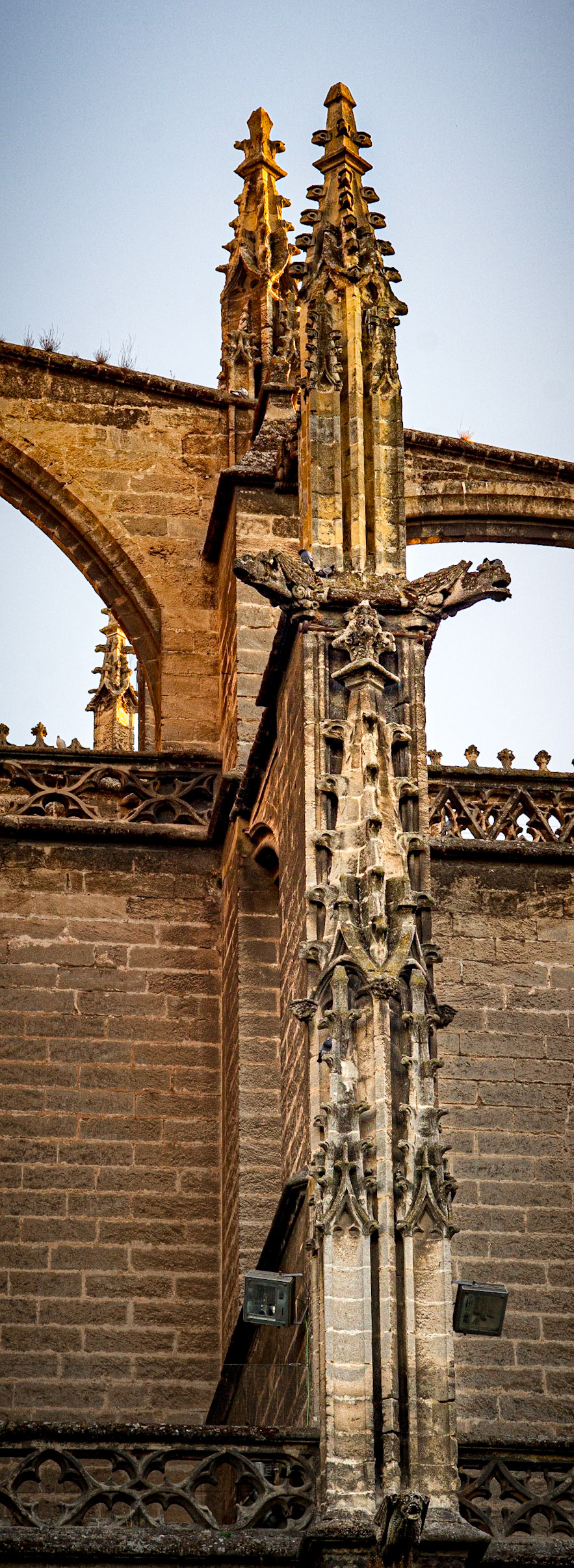 Cathedral of Saint Mary of the See