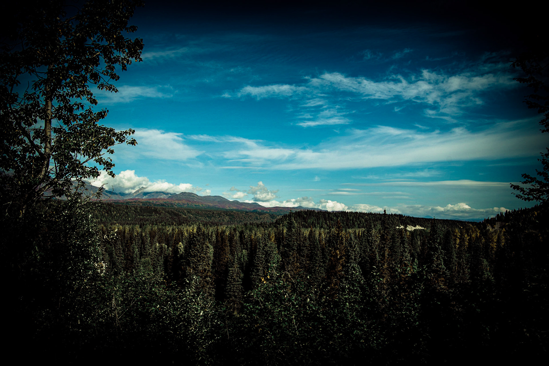 Denali - Anchorage AK-16