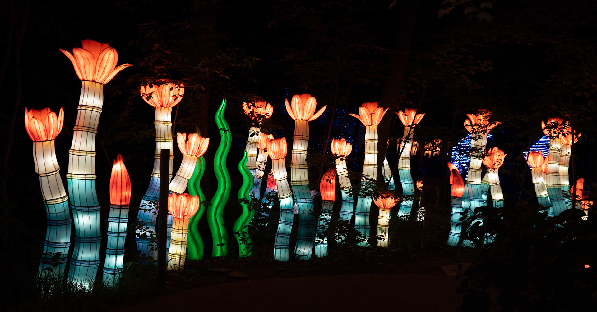 John Ball Zoo Lantern Festival 82