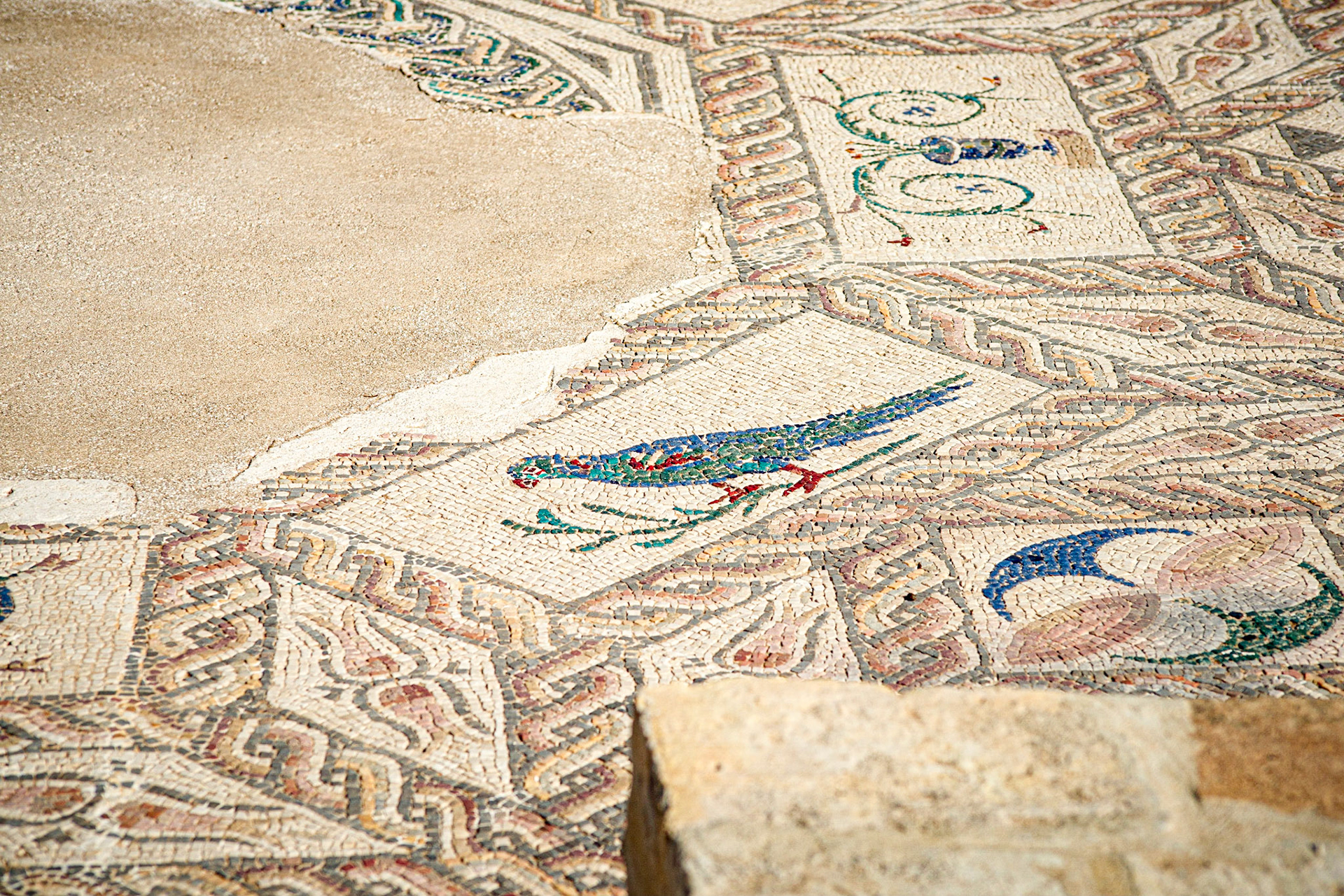 Roman amphitheatre of Italica