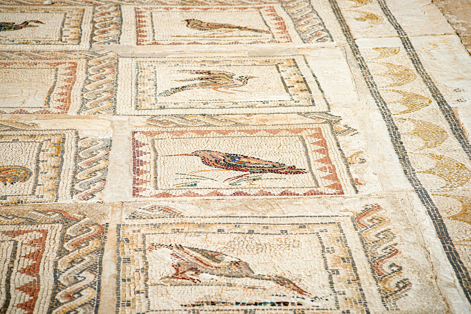 Roman amphitheatre of Italica