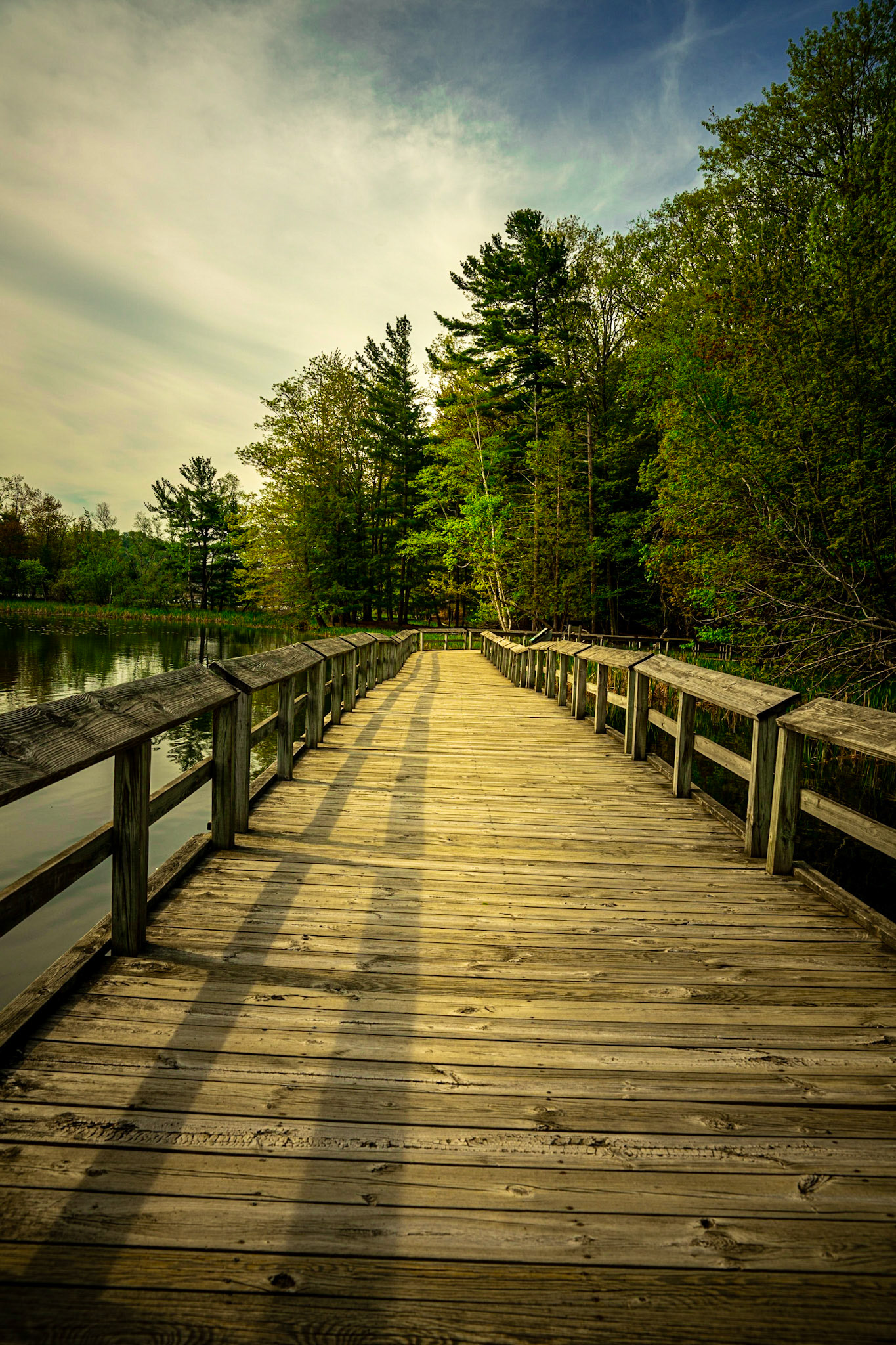 Boardwalk in the morning