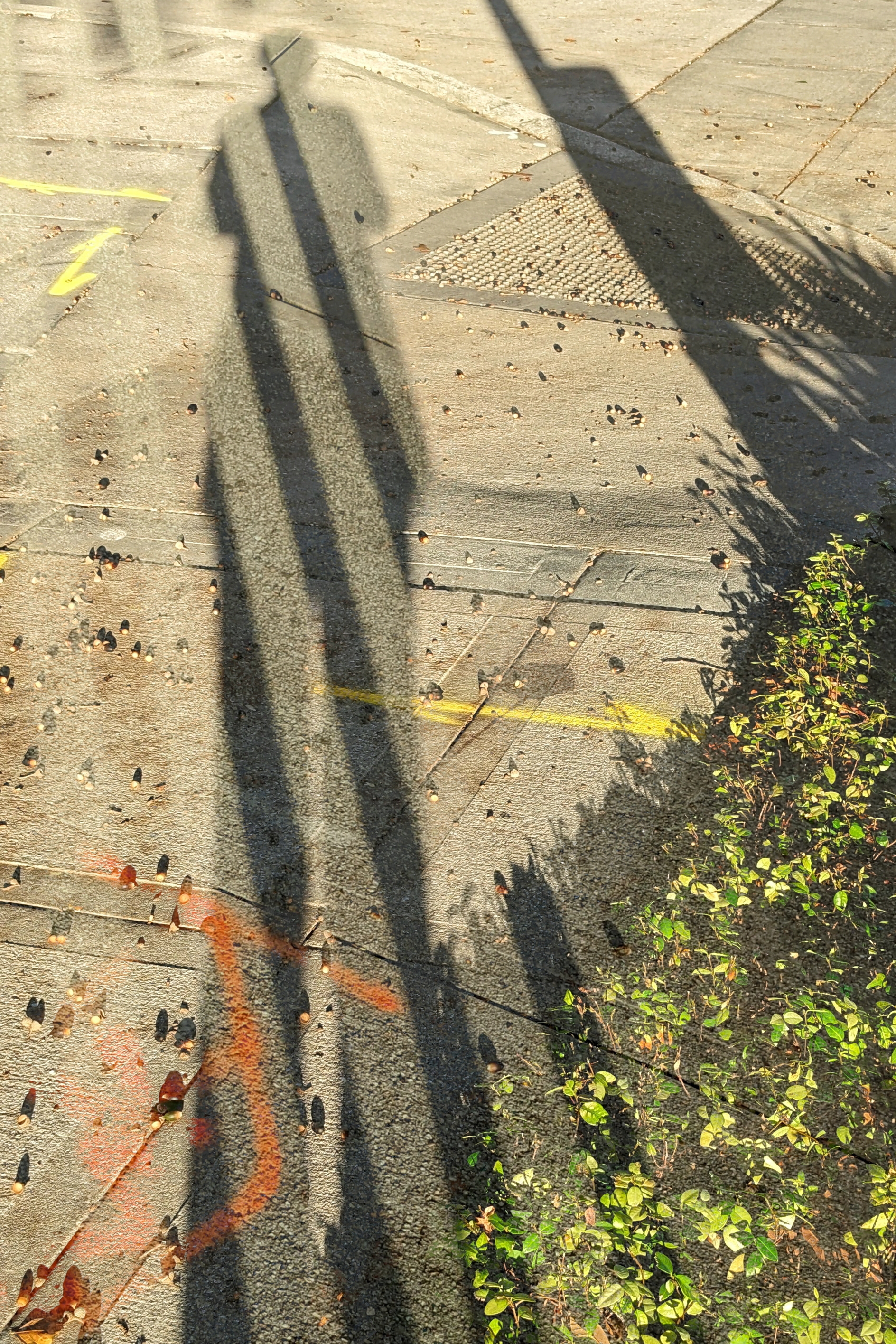 Urban Selfie