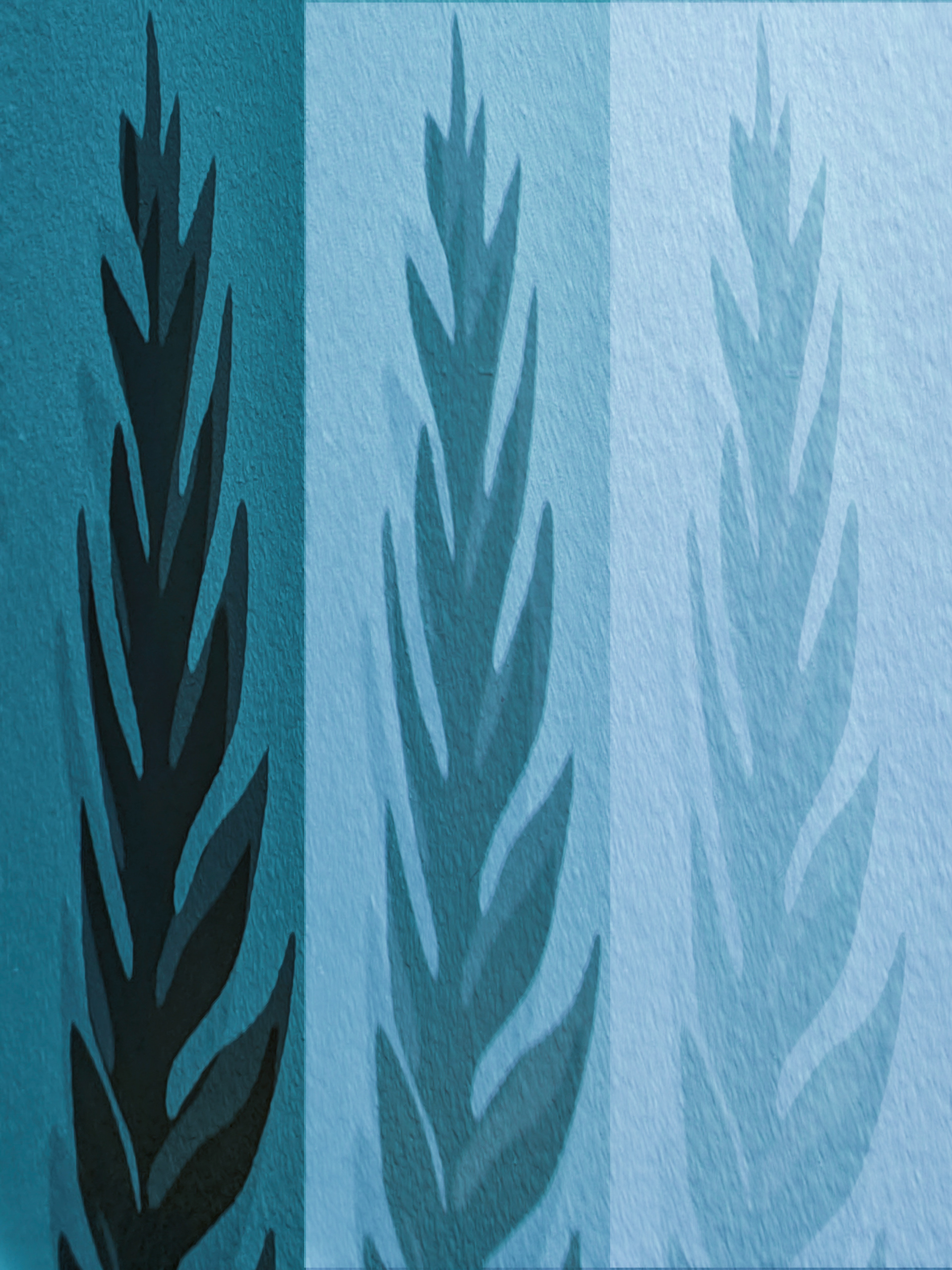 Elongated Leaves