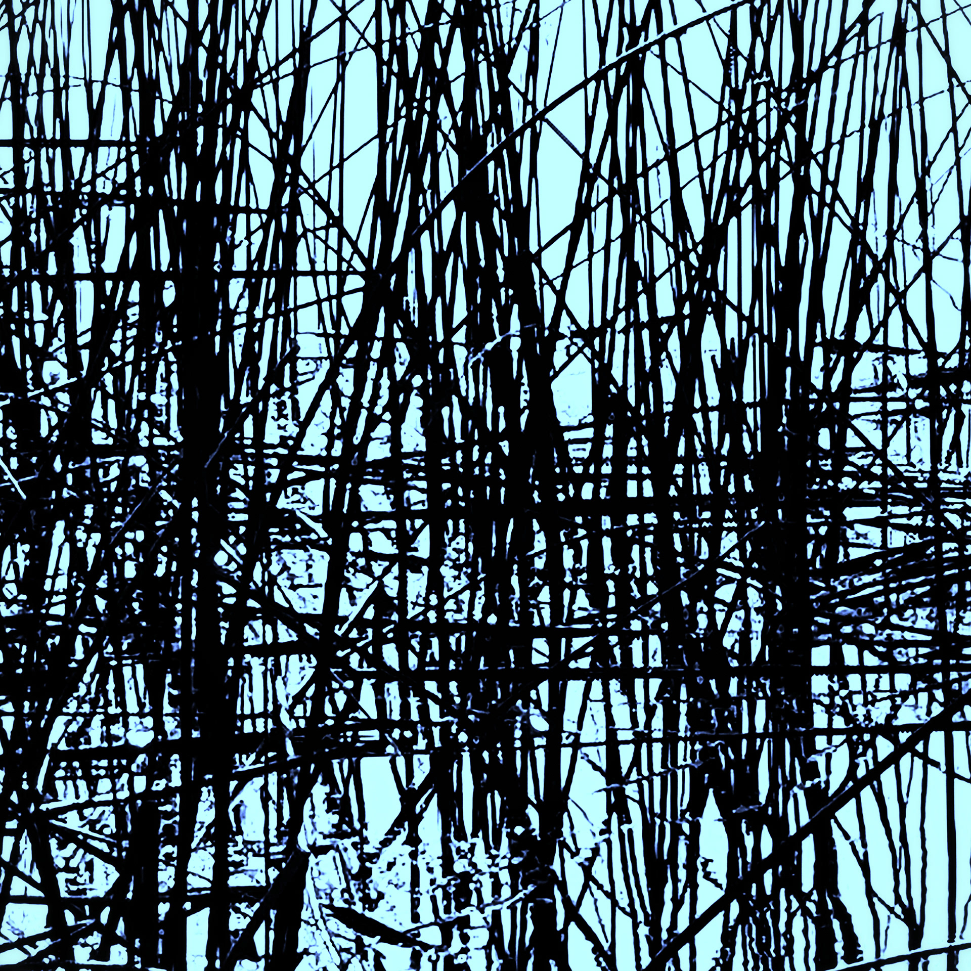 Inspired by Nature: Reed Abstraction