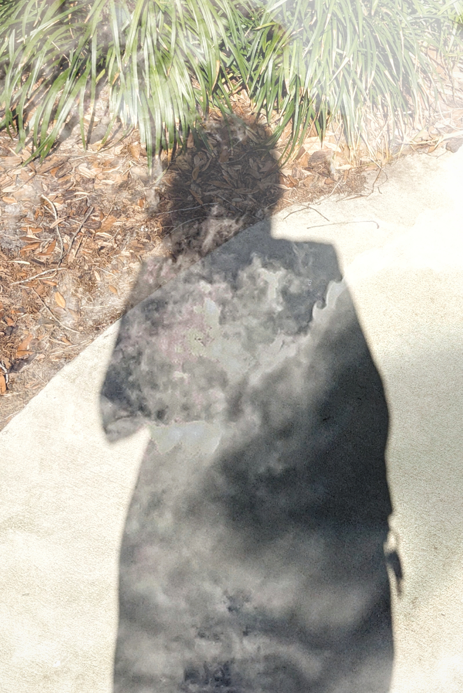 Surreal Selfie - Sky