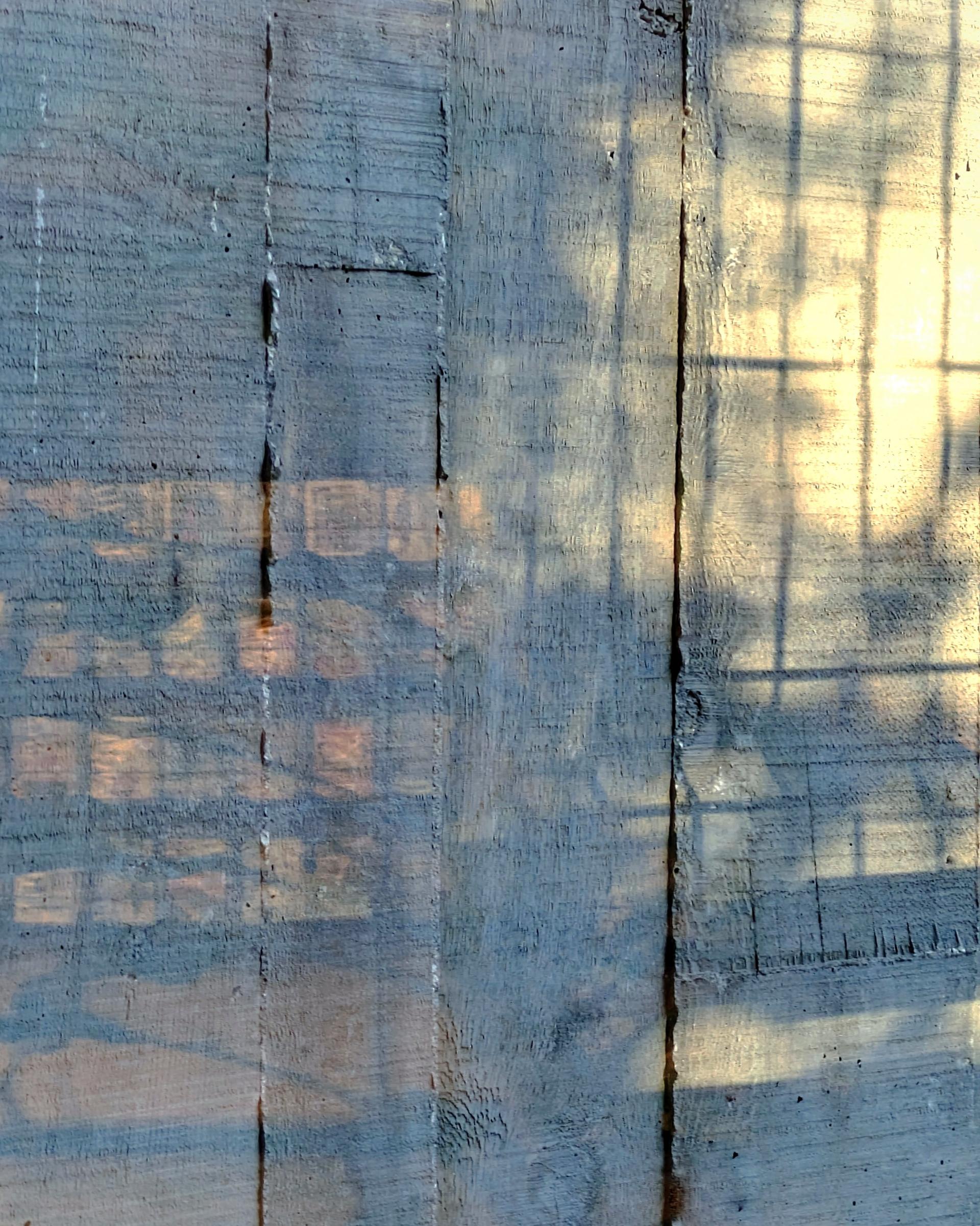 Library LInes 5