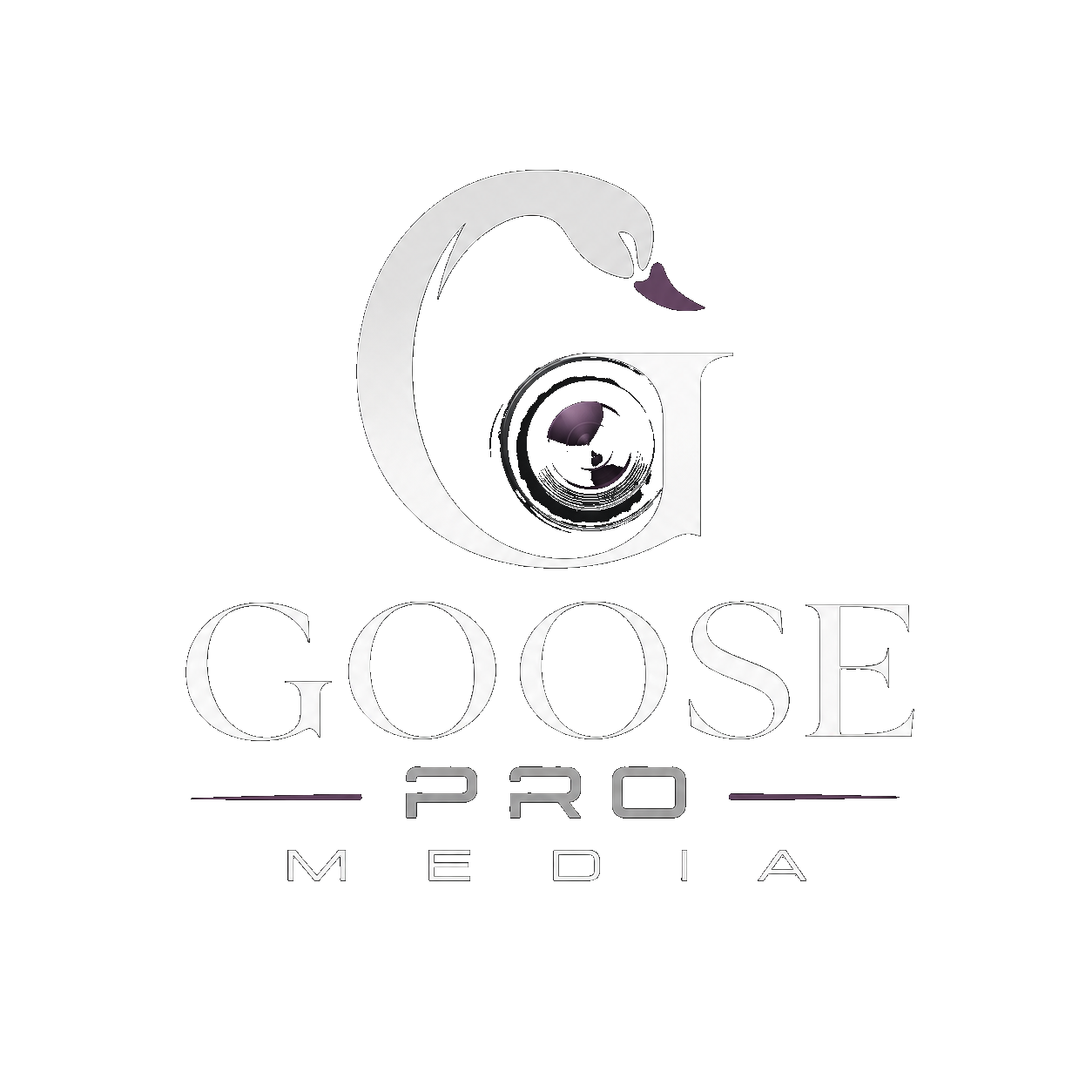 Goose Pro Media
