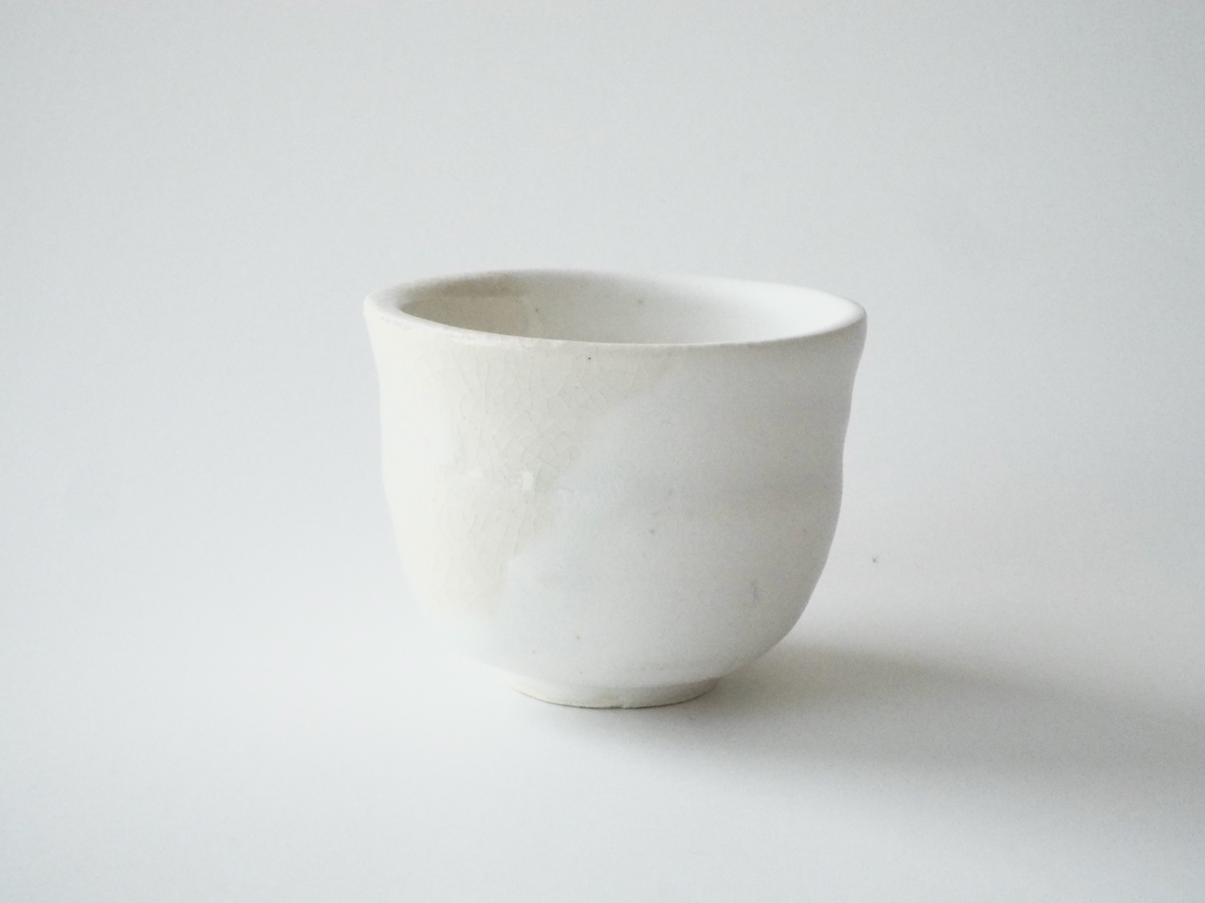 Snow and ice cup [2oz]