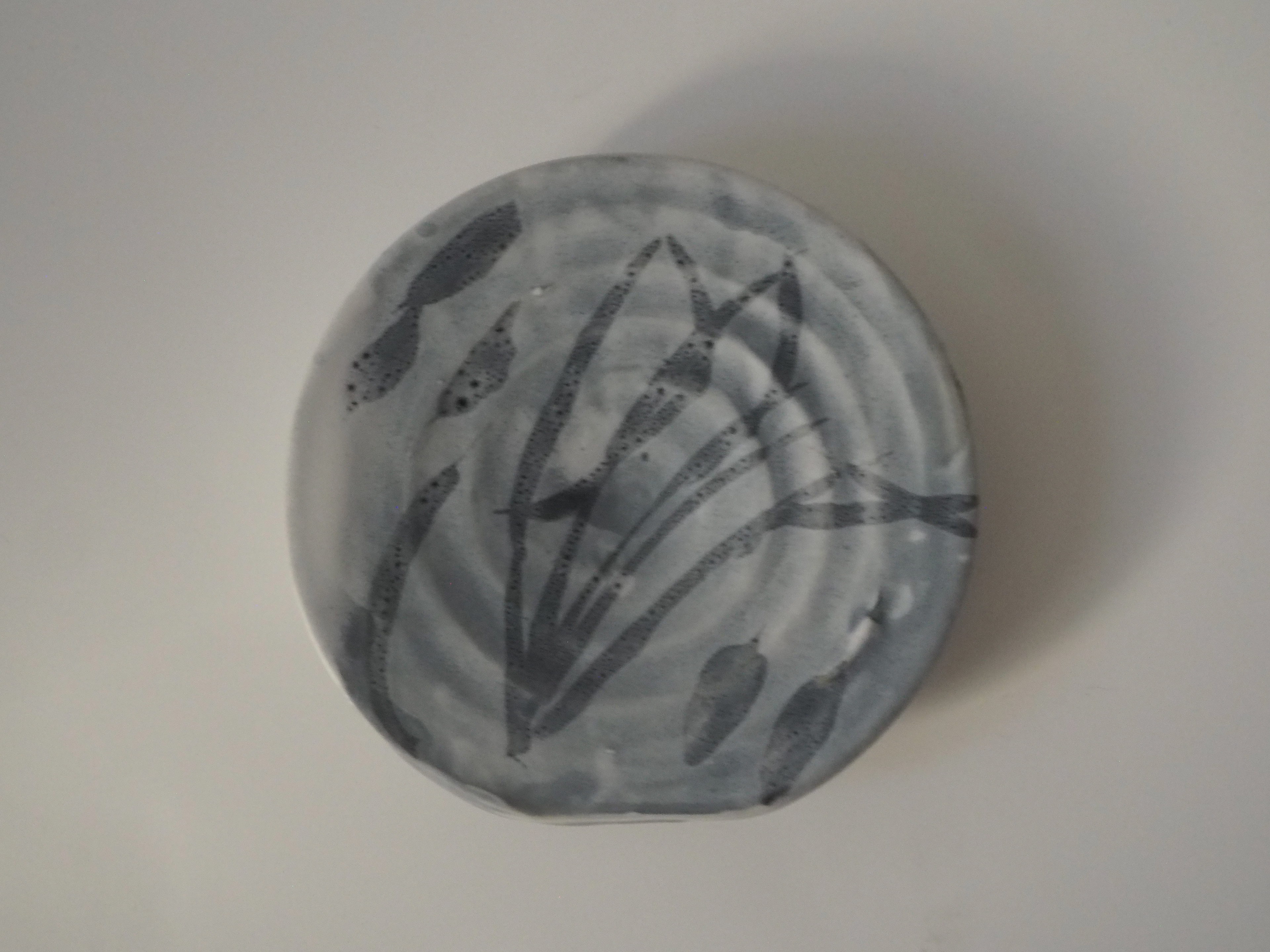 Dish