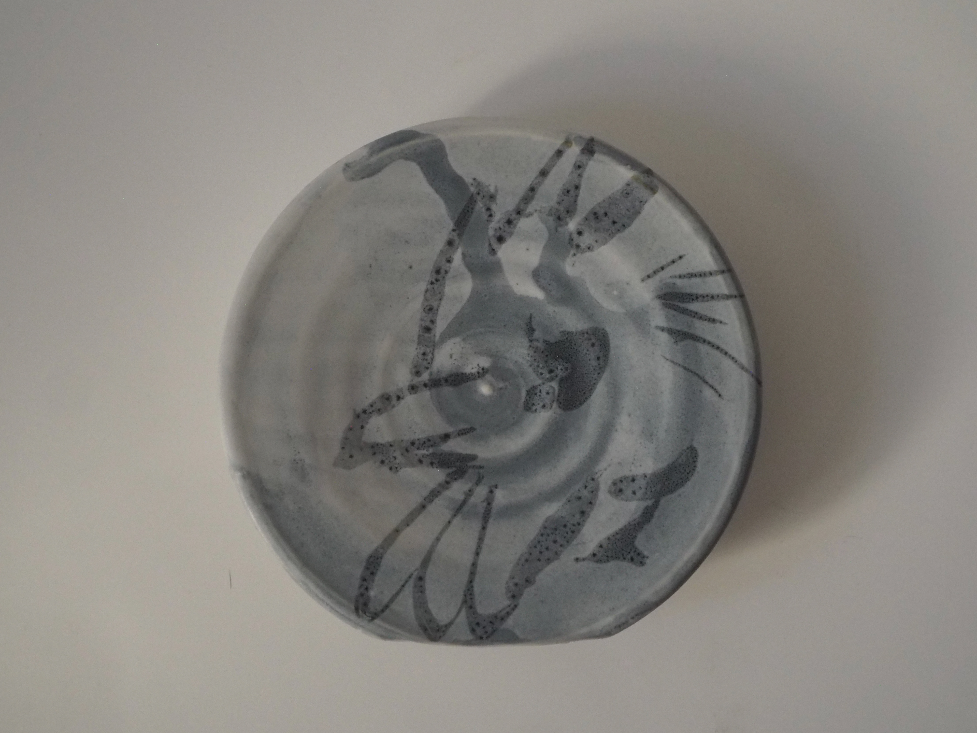 Dish