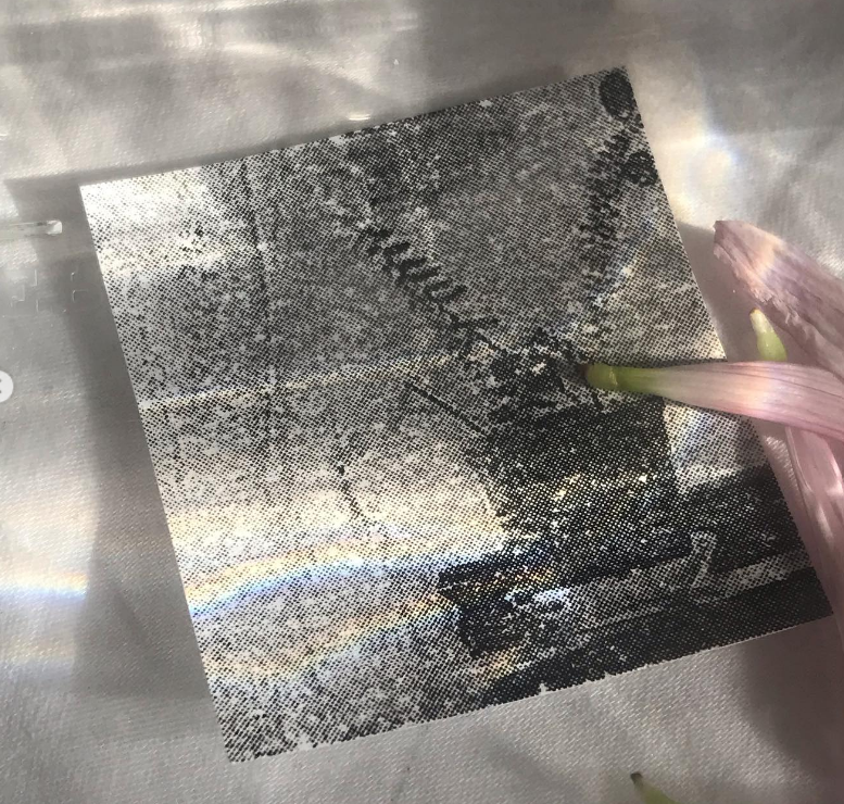 Detail (found objects)