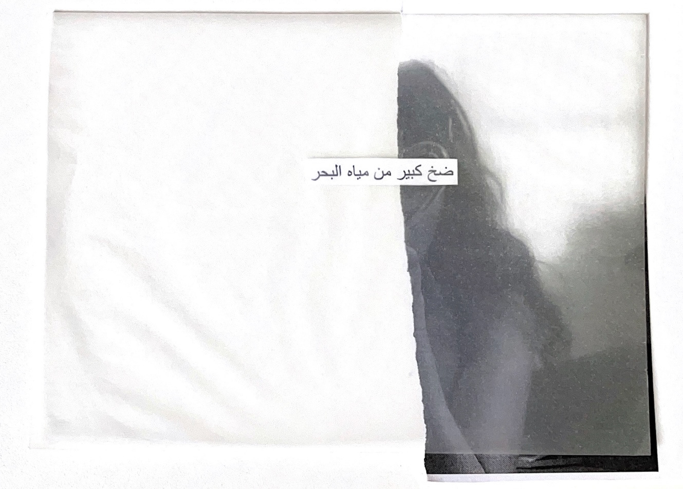 Detail (text collage and photograph) — self-portrait by the artist; Text in image (Arabic → English): 'A massive pumping of seawater'
