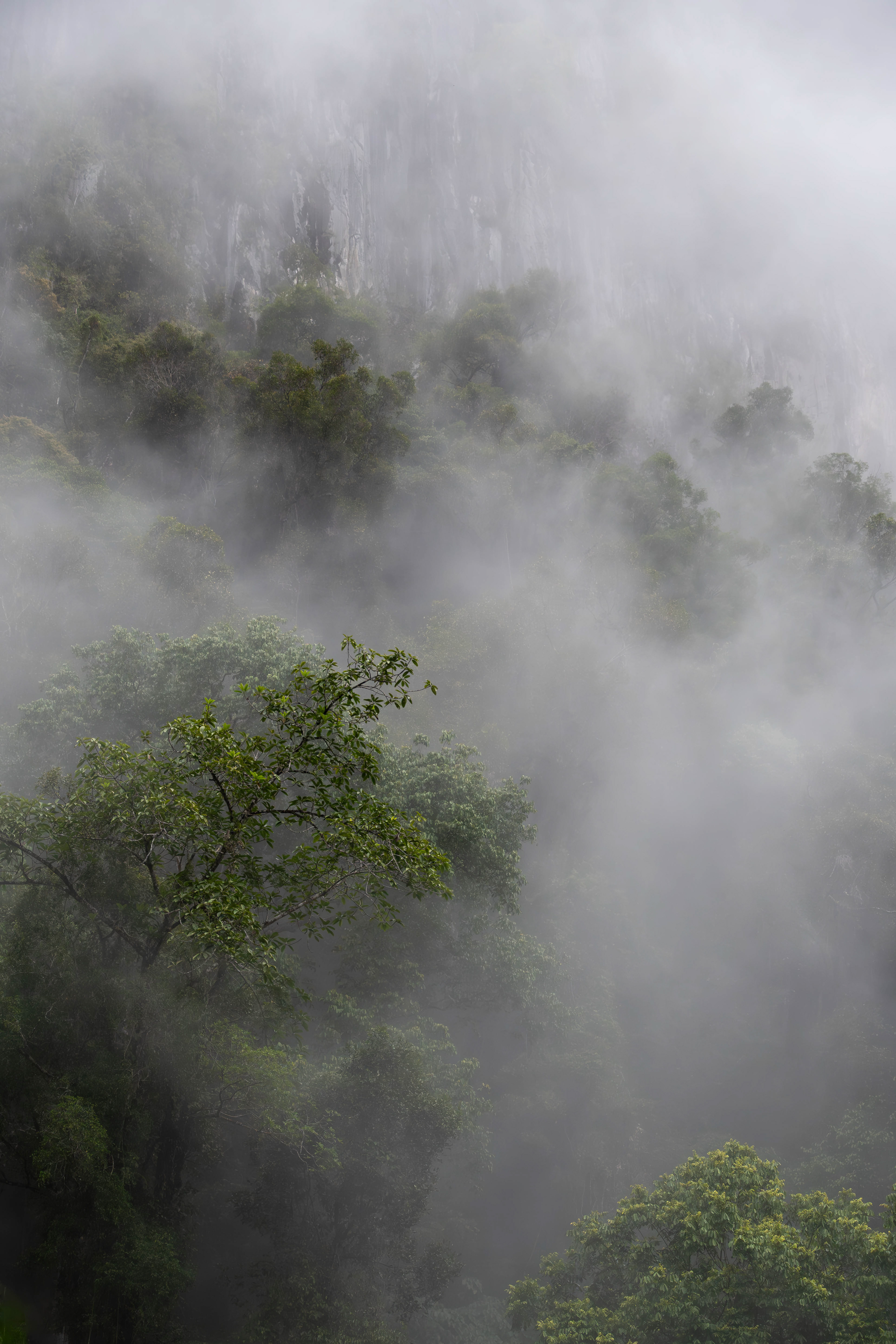 Mulu, Sarawak, Malaysia