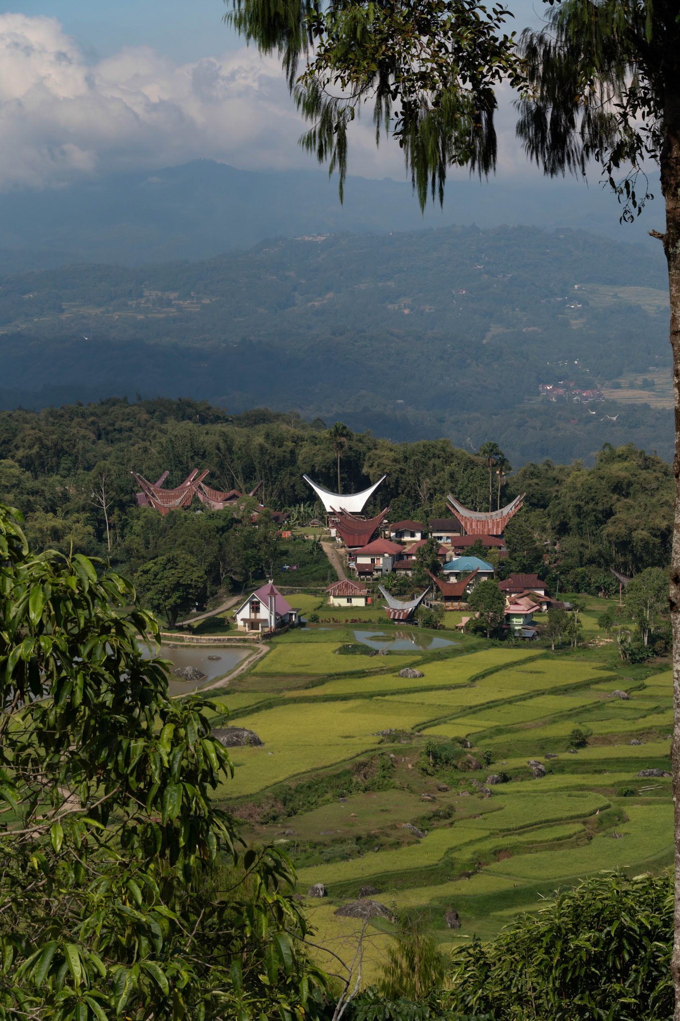 Tana toraja, South-sulawesi, Indonesia