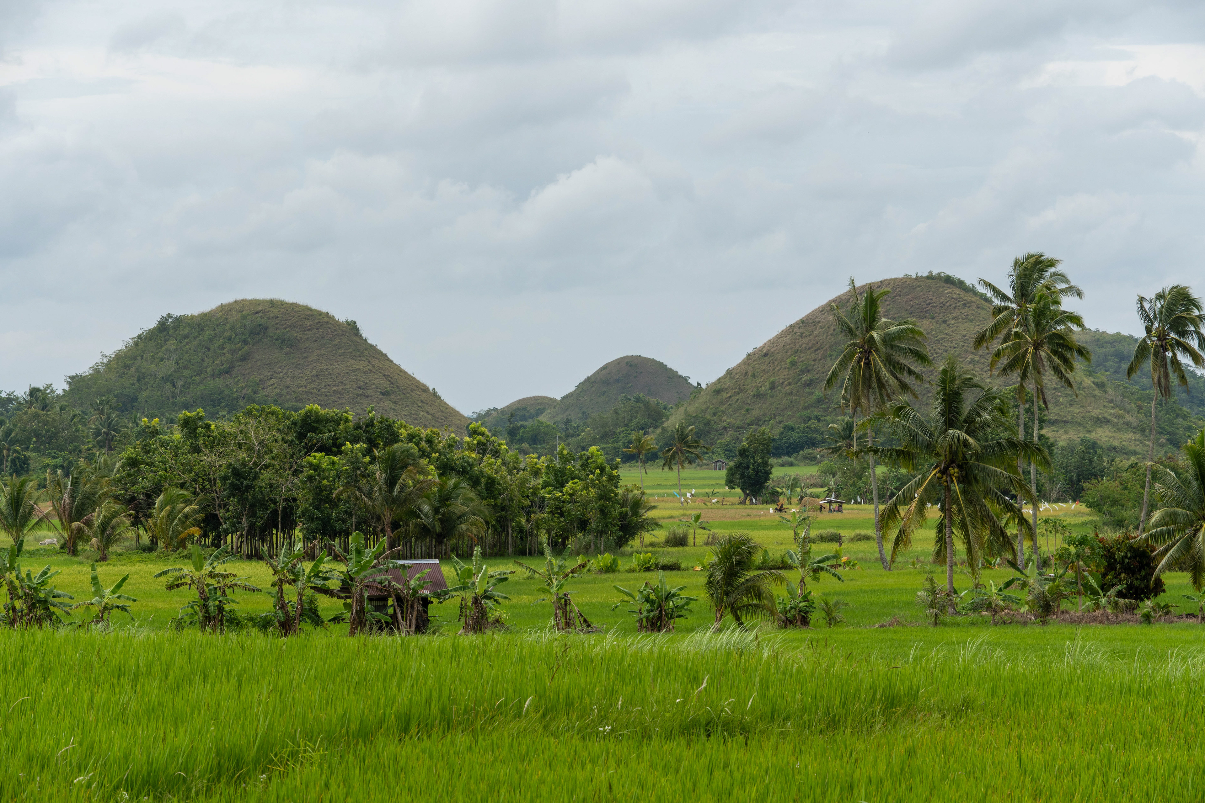Bohol, Philippines