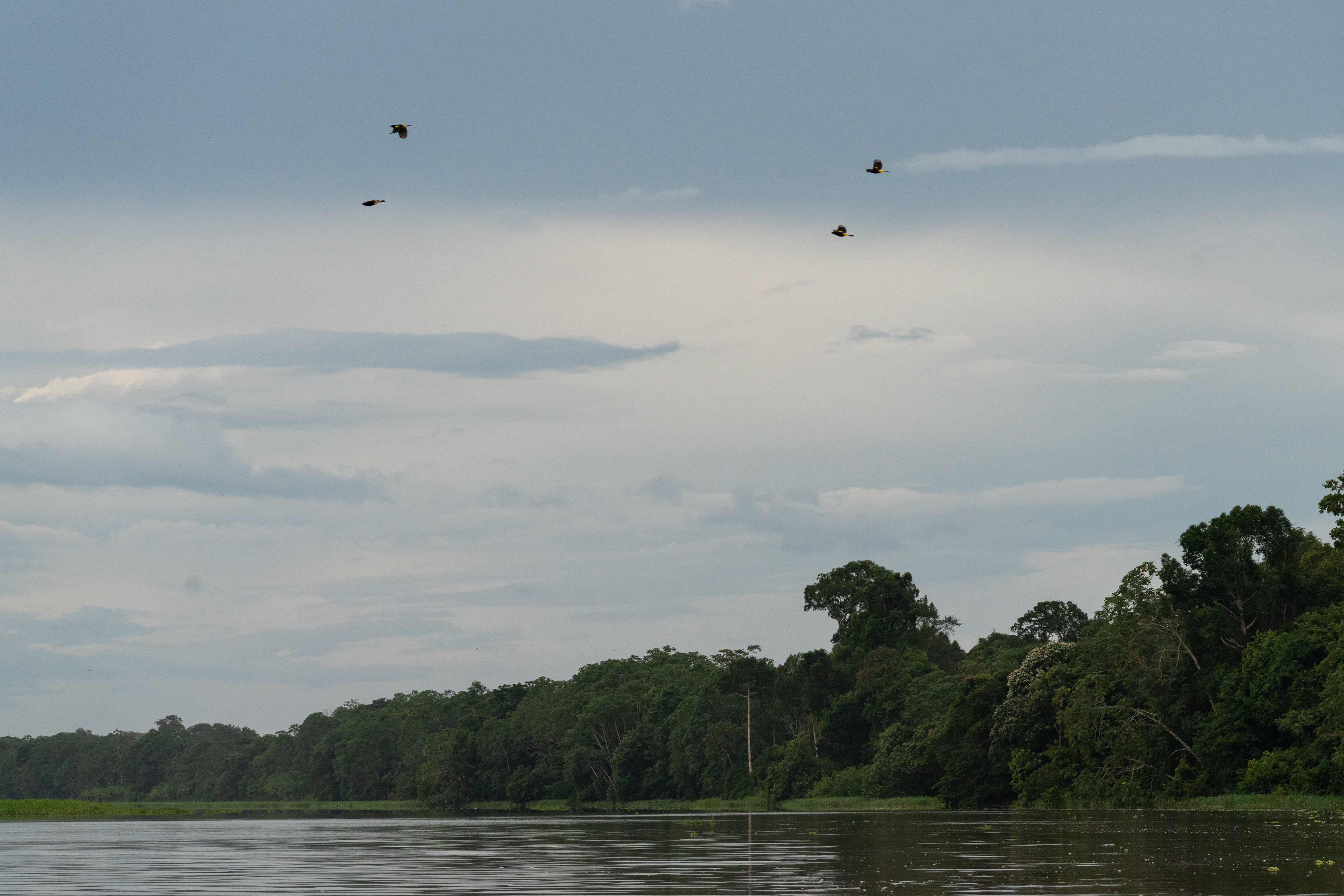 Amazonas, Colombia