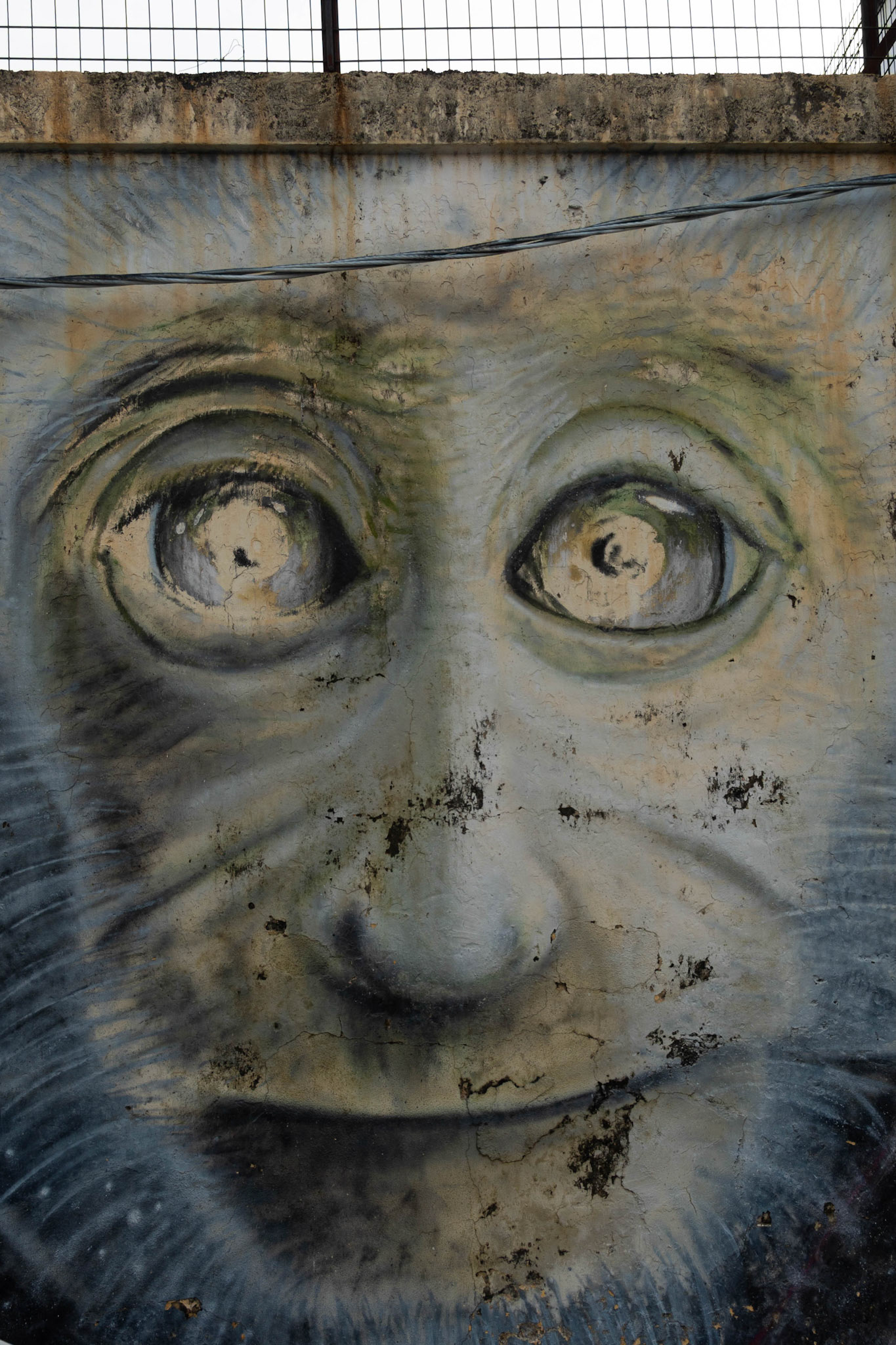 Street art, George town, Malaysia
