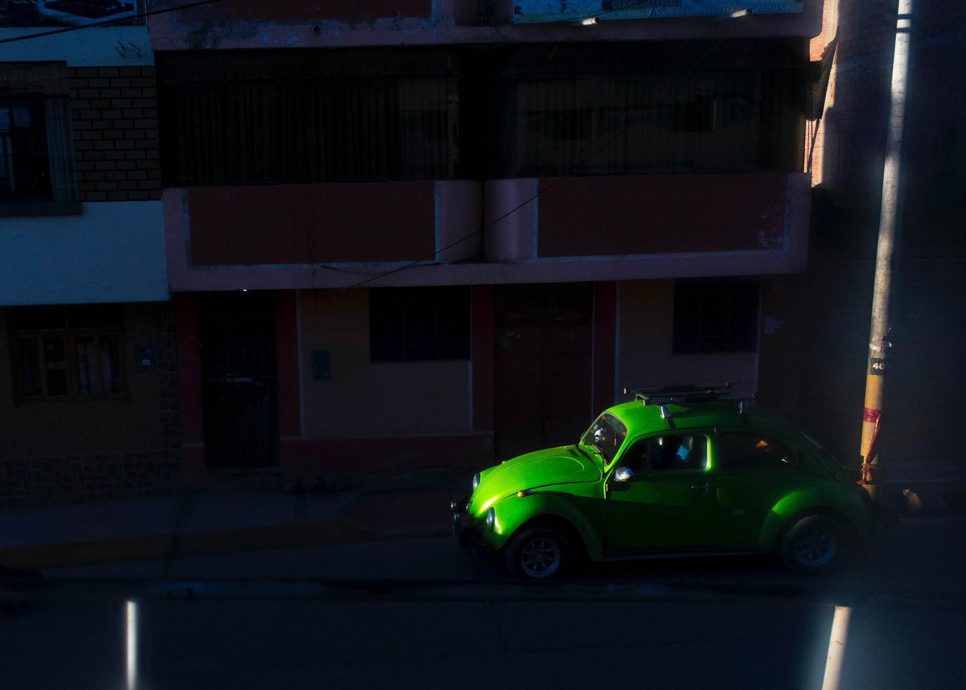 Beetle, Peru