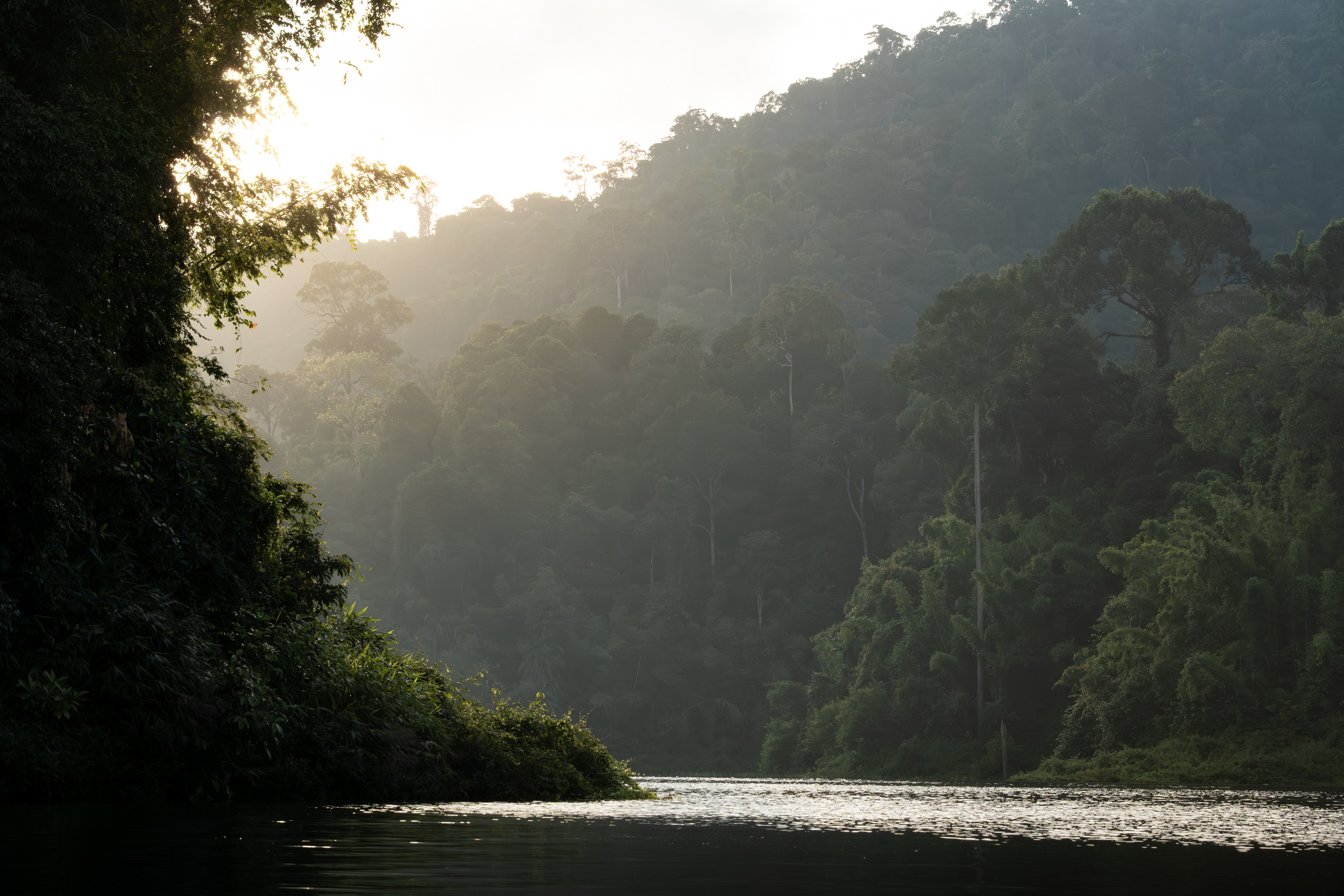 Khao Sok, Thailand