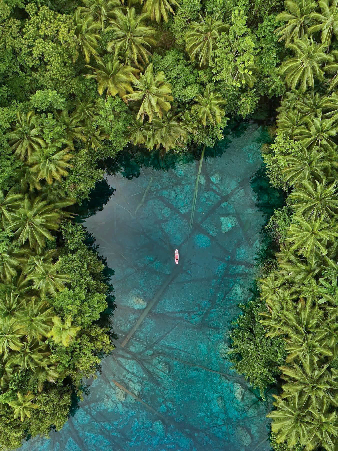 Banggai, Central Sulawesi, Indonesia