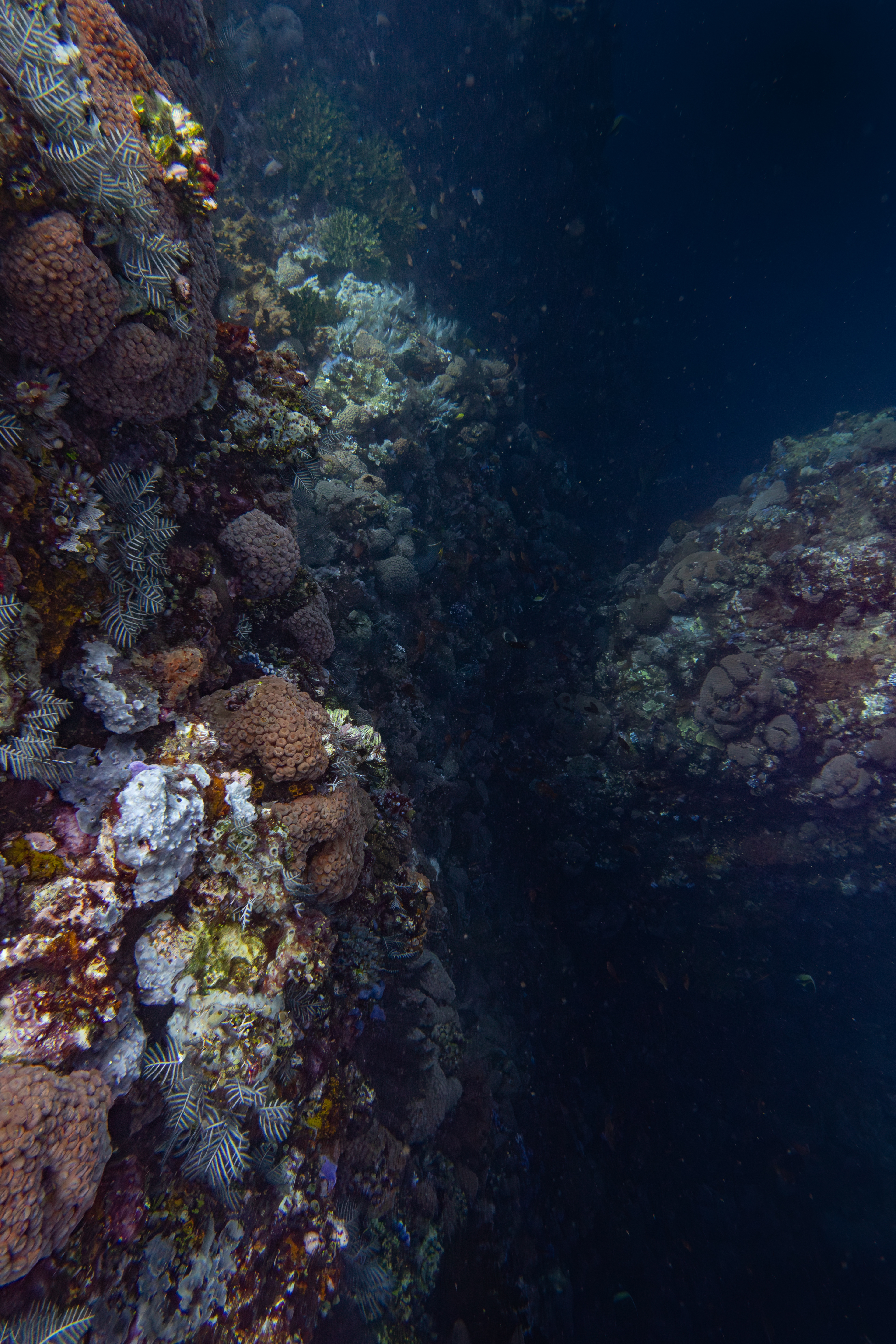 Batu Bolong, Komodo, Indonesia