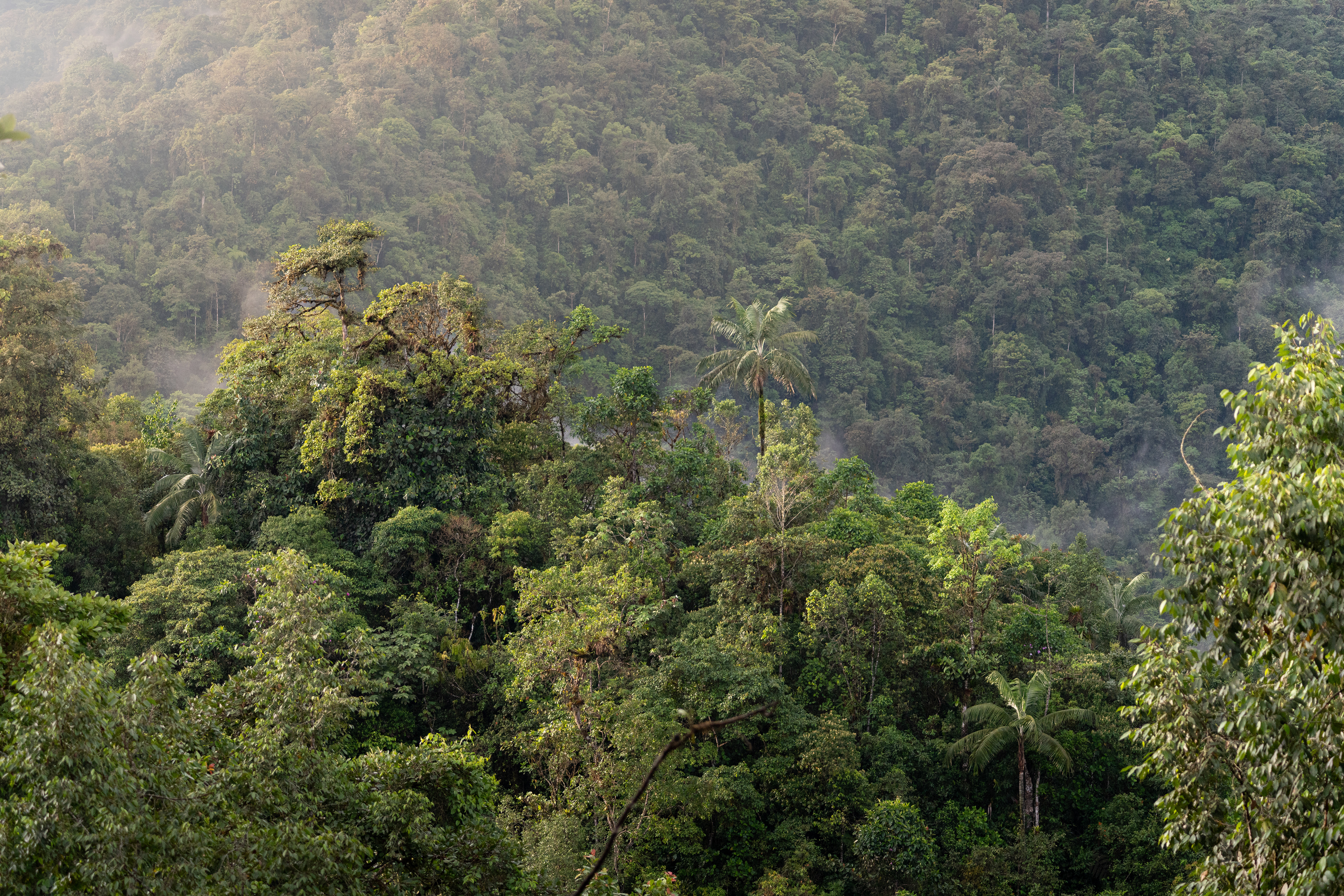Mindo, Ecuador