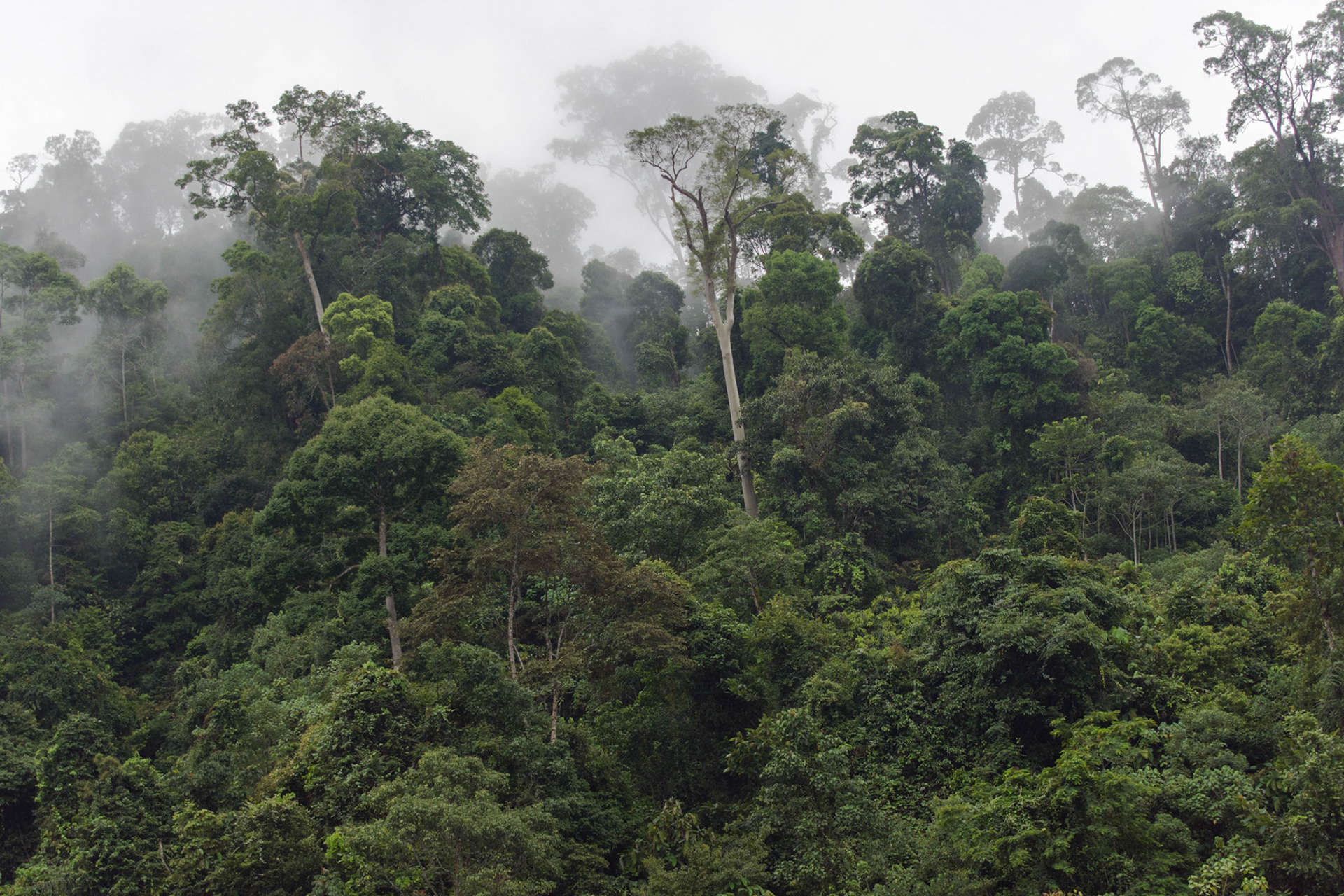 Sarawak, Malaysia